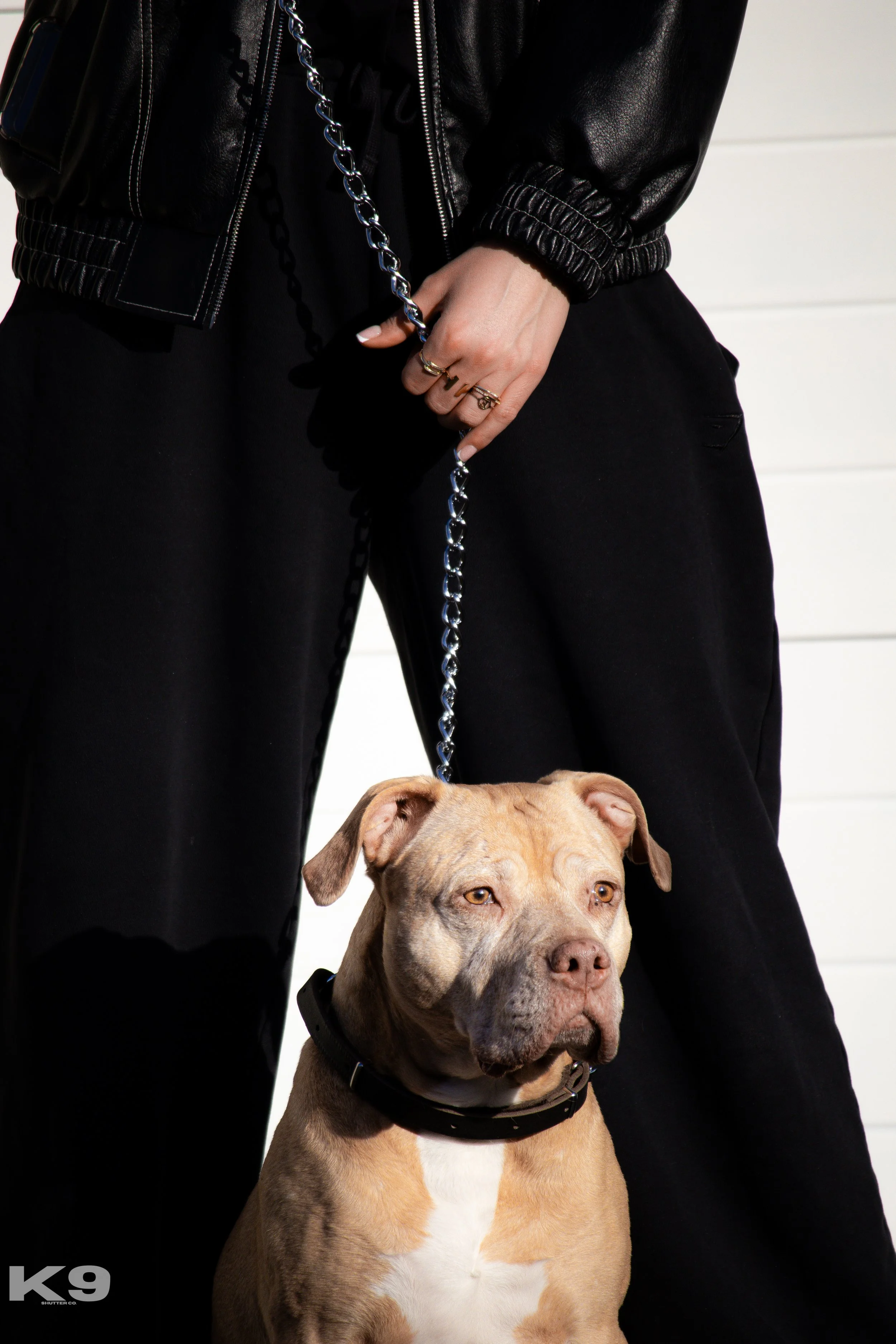 A tan and white dog with a black collar sitting in front of a person dressed in black, holding the dog by a chain leash, against a white wall background.