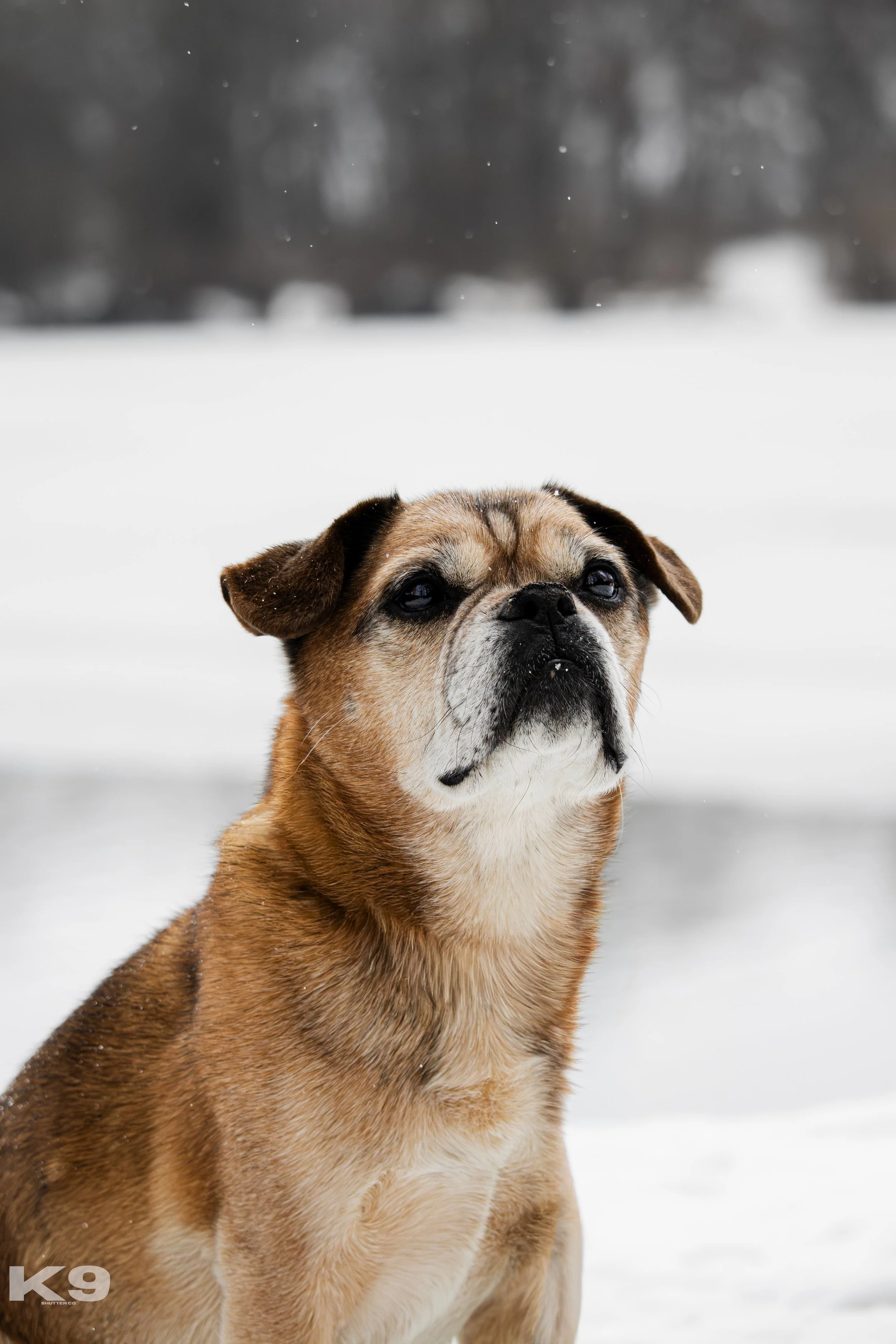 End of Life Sessions