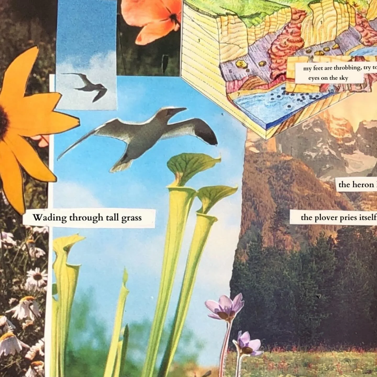 ALEX COLEY FT. MOIRA & CLAIRE 
MIXING, ENGINEER