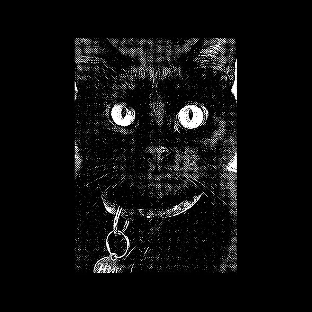 HUMAN MISSILE CRISIS - LIQUOR STORE STORIES (LP) MIXING, ENGINEER