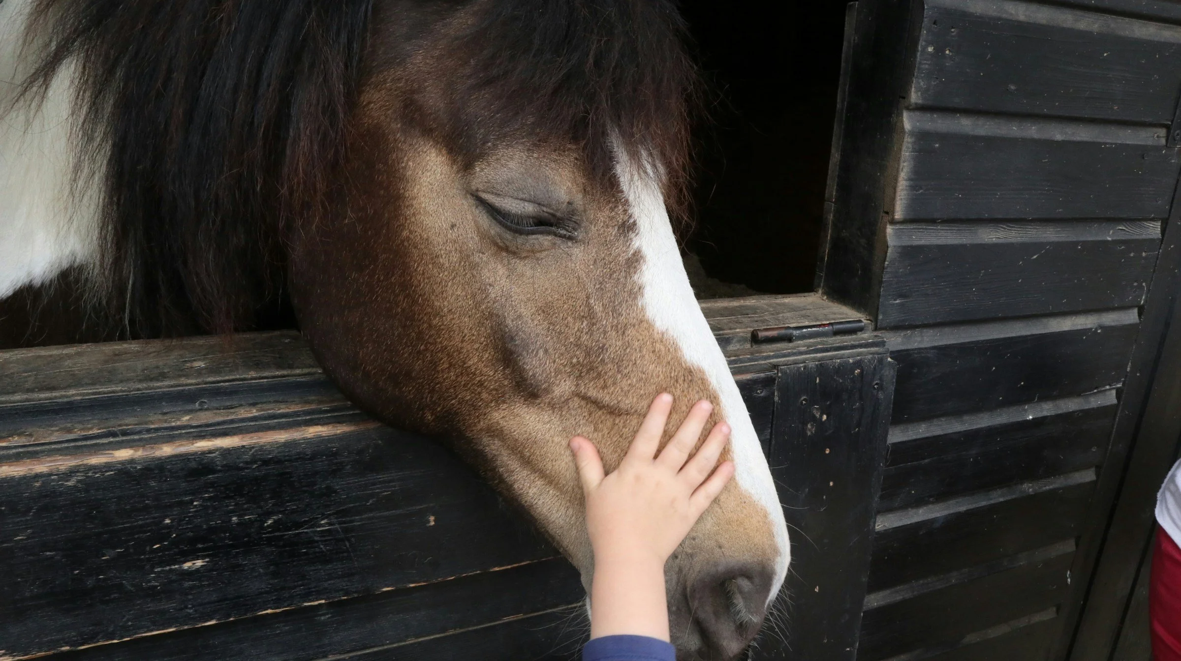Child petting a brown and white horse in a stable.