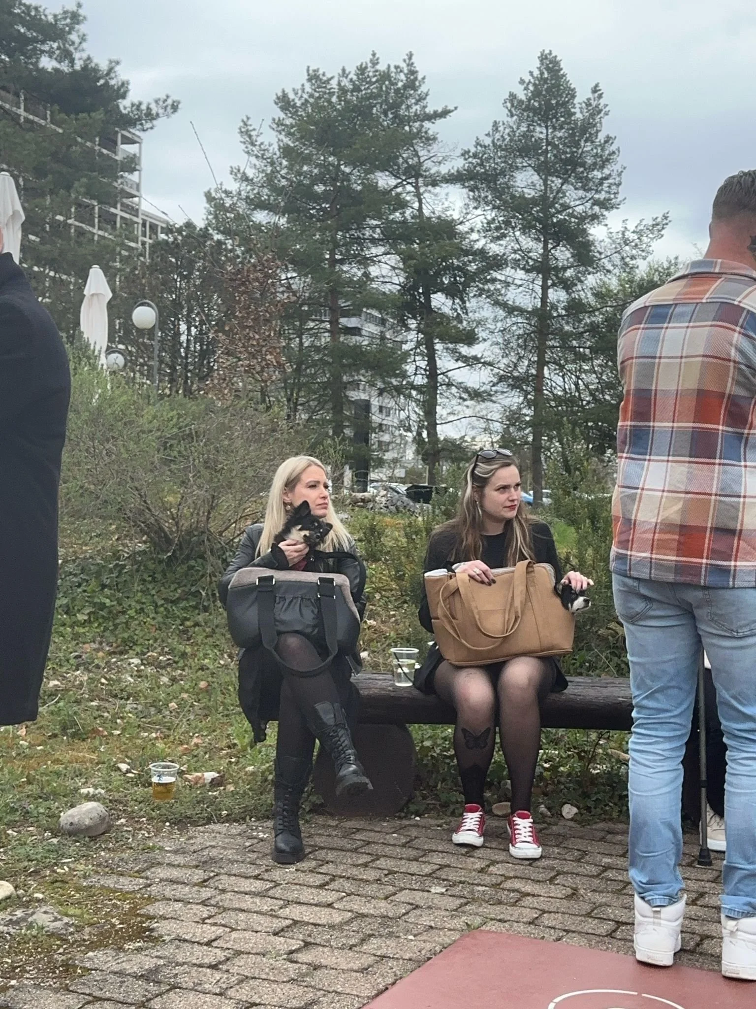 Zwei Frauen sitzen auf einer Bank im Freien, halten kleine Hunde und haben Taschen auf dem Schoß, während mehrere Menschen um sie herumstehen.