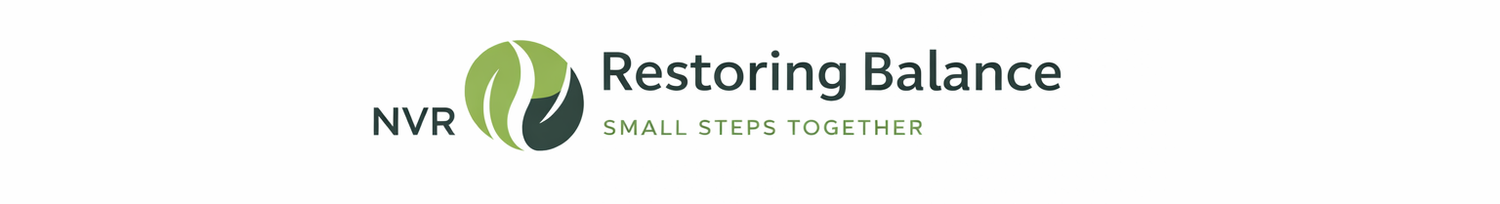 NVR Restoring Balance - Small Steps Together 