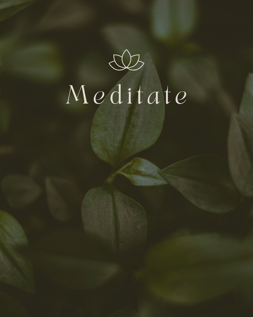 Green leaves with the word 'Meditate' and a lotus flower graphic in the center.