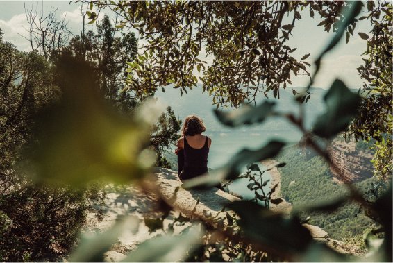 Person sitting on a rock overlooking a forested valley, surrounded by trees and branches.