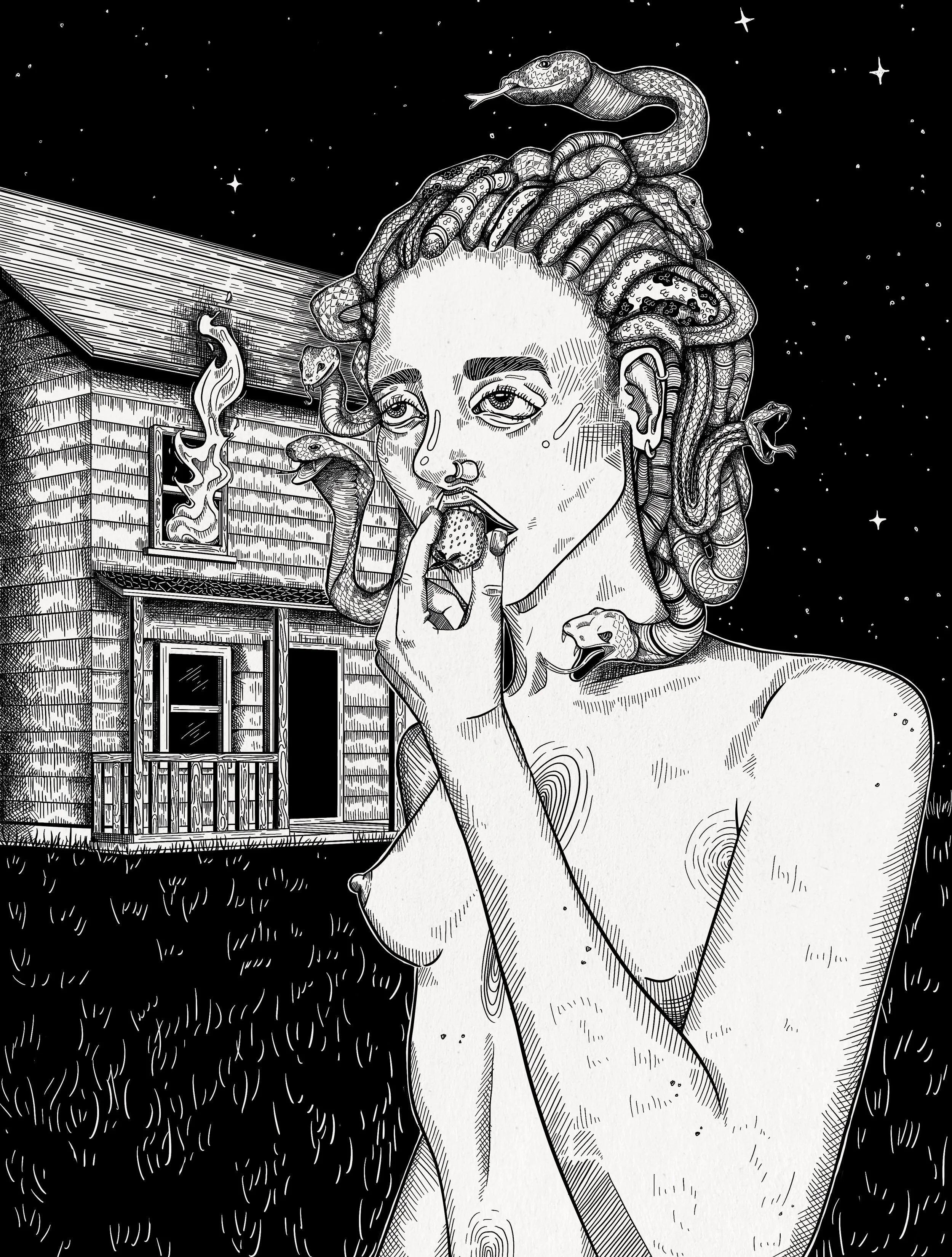Like A House on Fire 