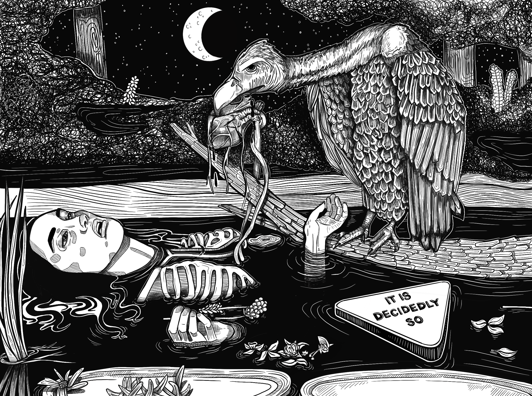 A black and white line drawing depicts a vulture sitting on a rock, with a human skull floating in water nearby. A hand emerges from the water holding a piece of wood with spoons on it. The night sky has a crescent moon and stars, and there are trees and a waterfall in the background. A sign in the water reads "It is Decidedly So."