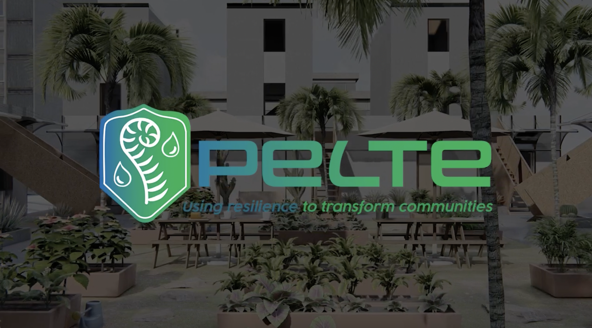 Pelte