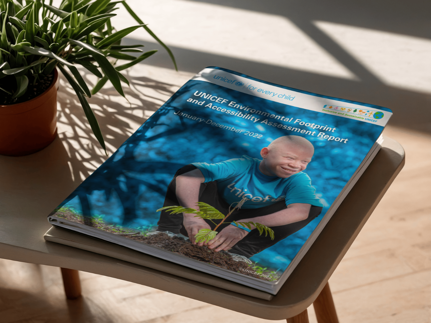UNICEF Emissions Report