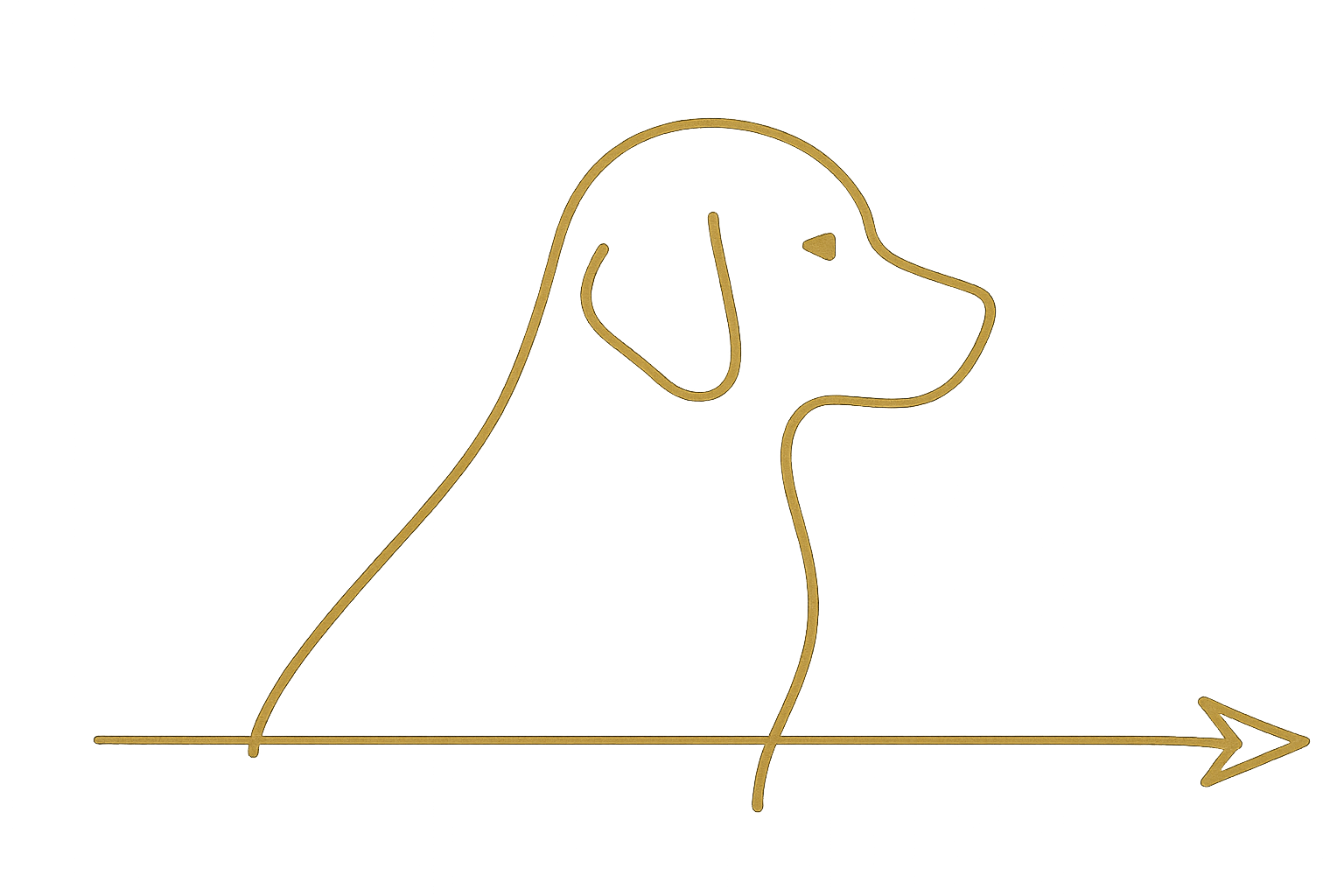 Line drawing of a dog in profile facing right, with a simple arrow pointing right below the dog on a black background.