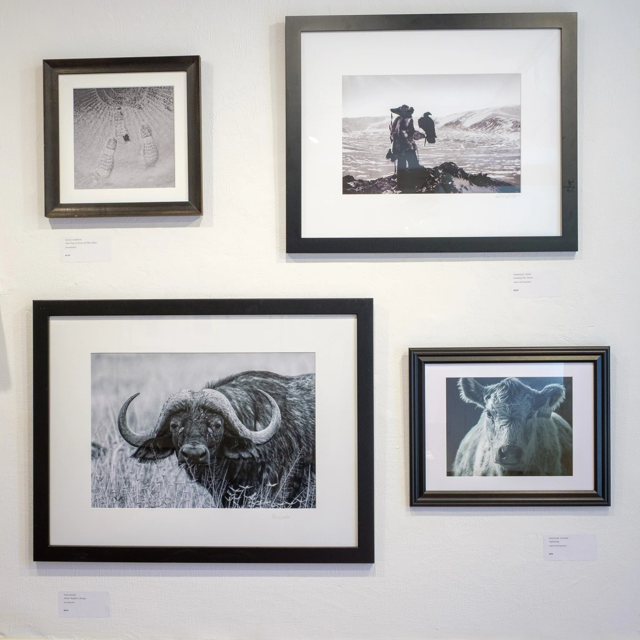 2026 Photography Exhibit