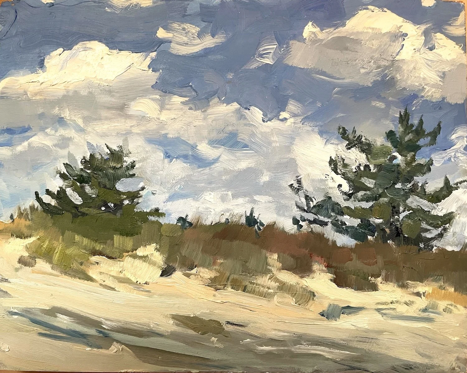 B - Beyond the dunes oil on panel.jpg