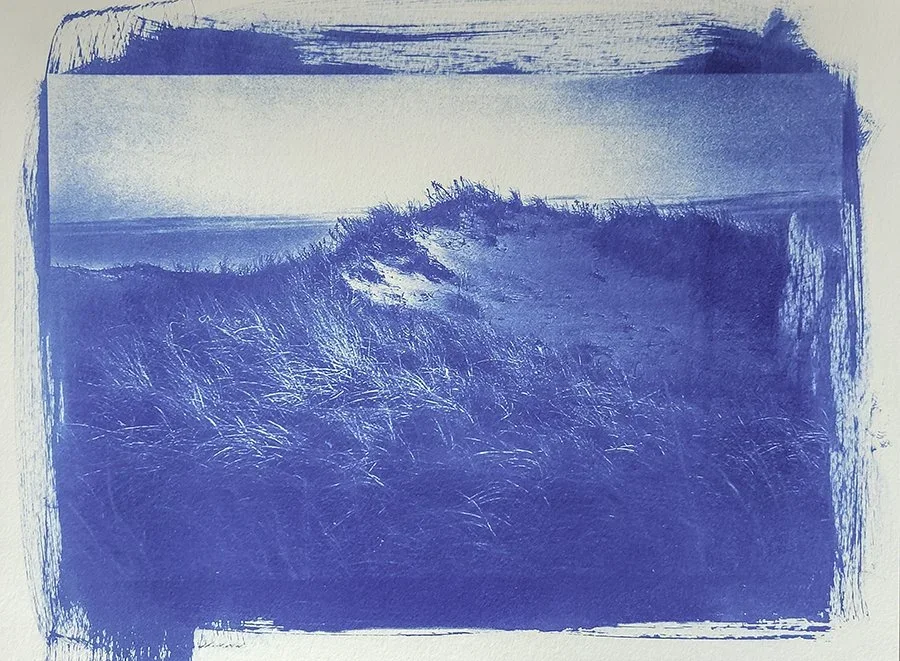 cyanotype-horseneck-beach-sunset-dunes.webp