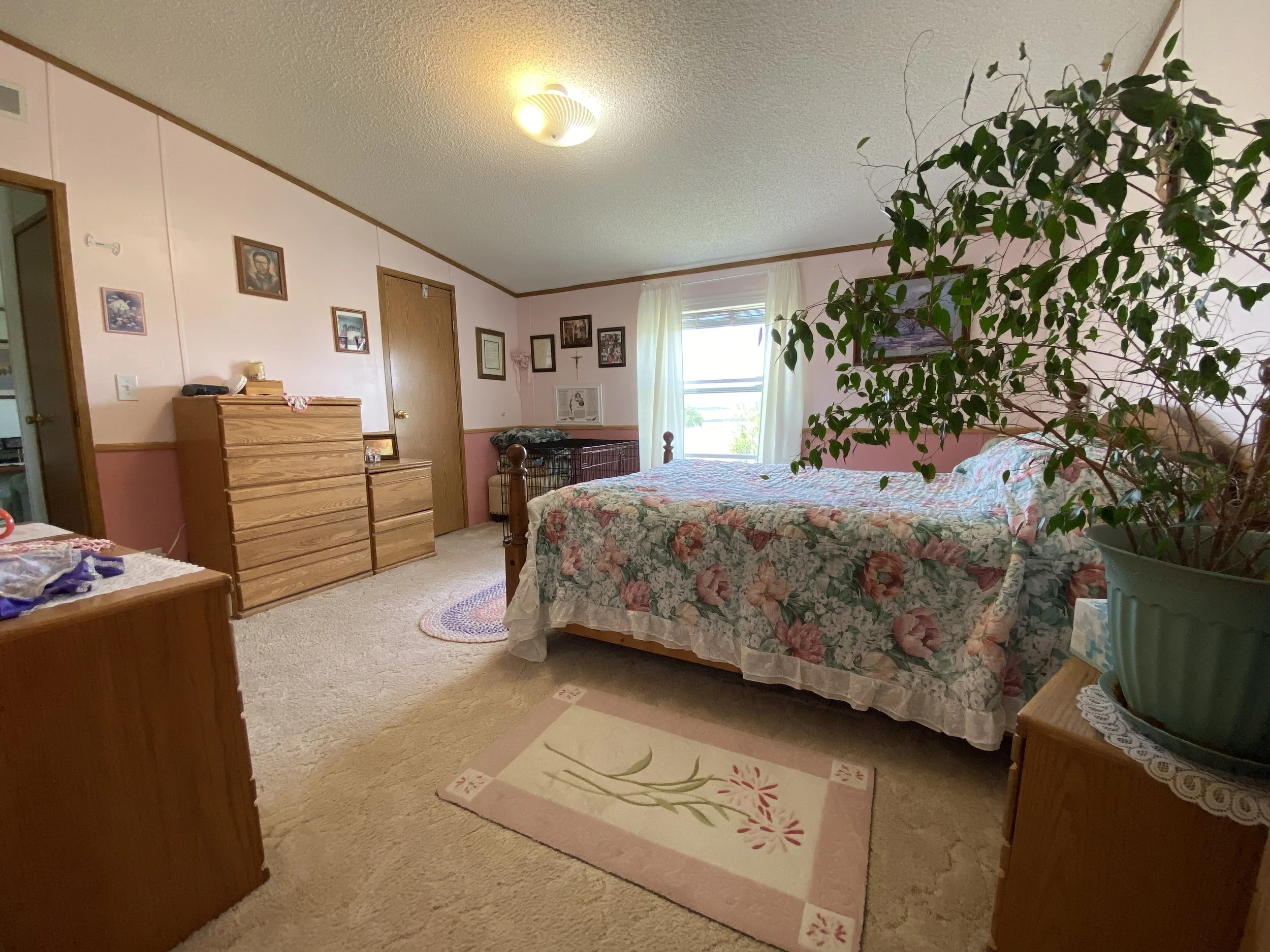 Photo May 22 2025, 1 05 26 PM.jpg