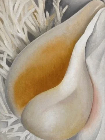 perfectly imperfect - she&rsquo;s giving #georgiaokeeffe no?!

can&rsquo;t wait to add real florals to her

#stoneware #wheelthrown #pinterestgirl #ceramic