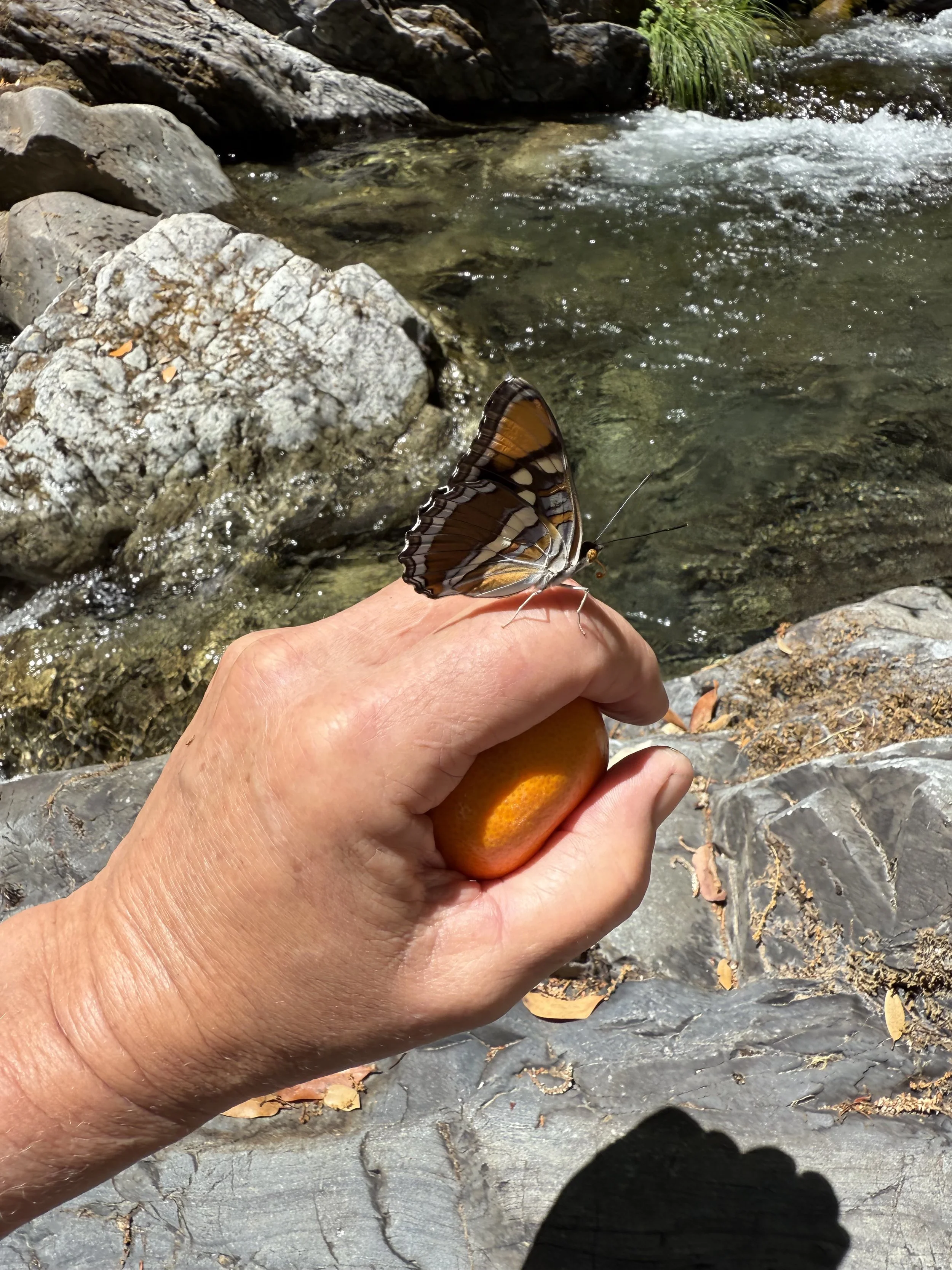 What happens when we listen?