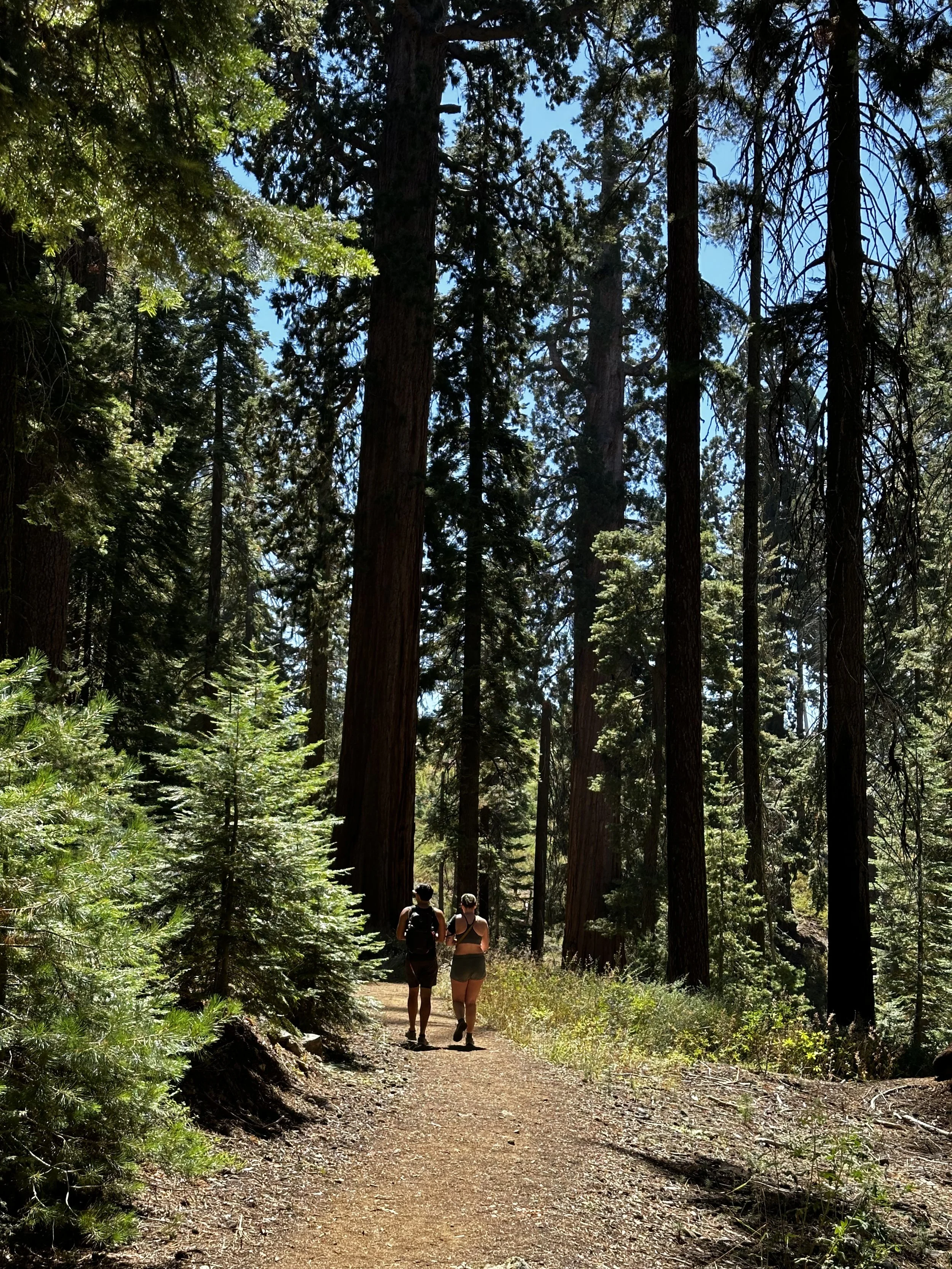 Being Free in the Flow of Life Retreat with Marjolein Janssen & Tanya Wiser