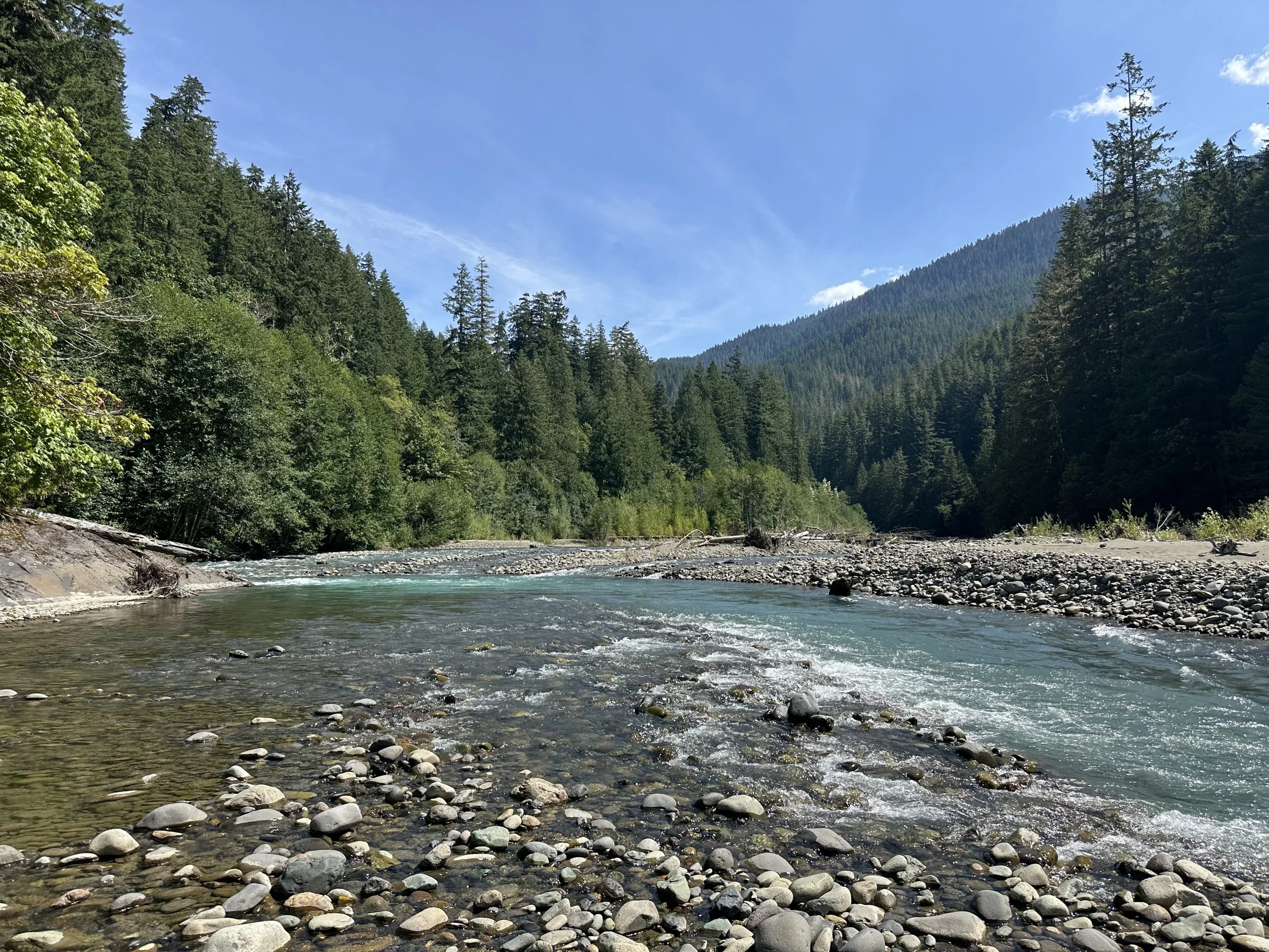 Listening to Nature: A Nature Dharma Retreat with Kirsten Rudestam & Tanya Wiser