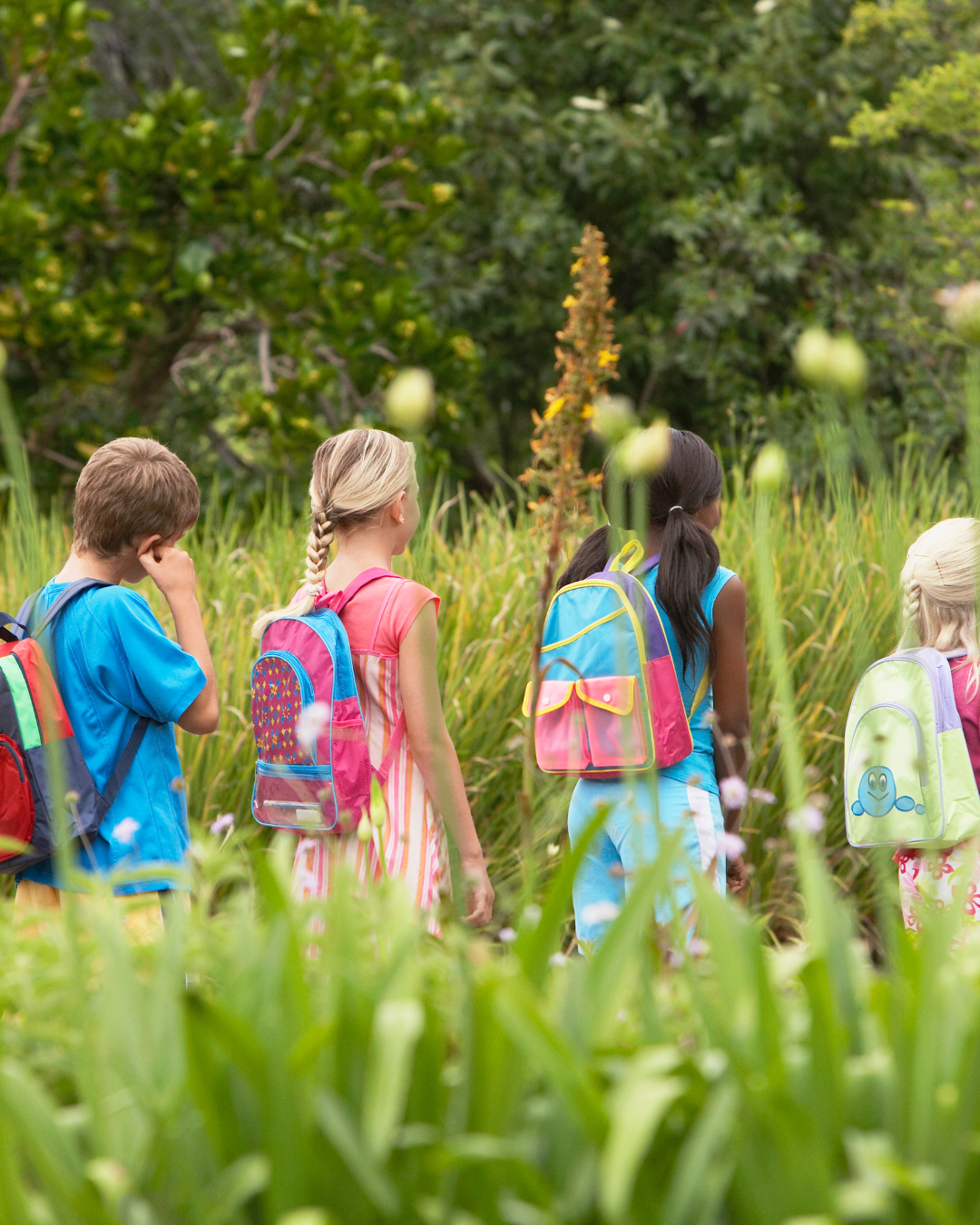 Group of young children walking through tall grass or plants, wearing colorful backpacks, in a lush green outdoor setting.