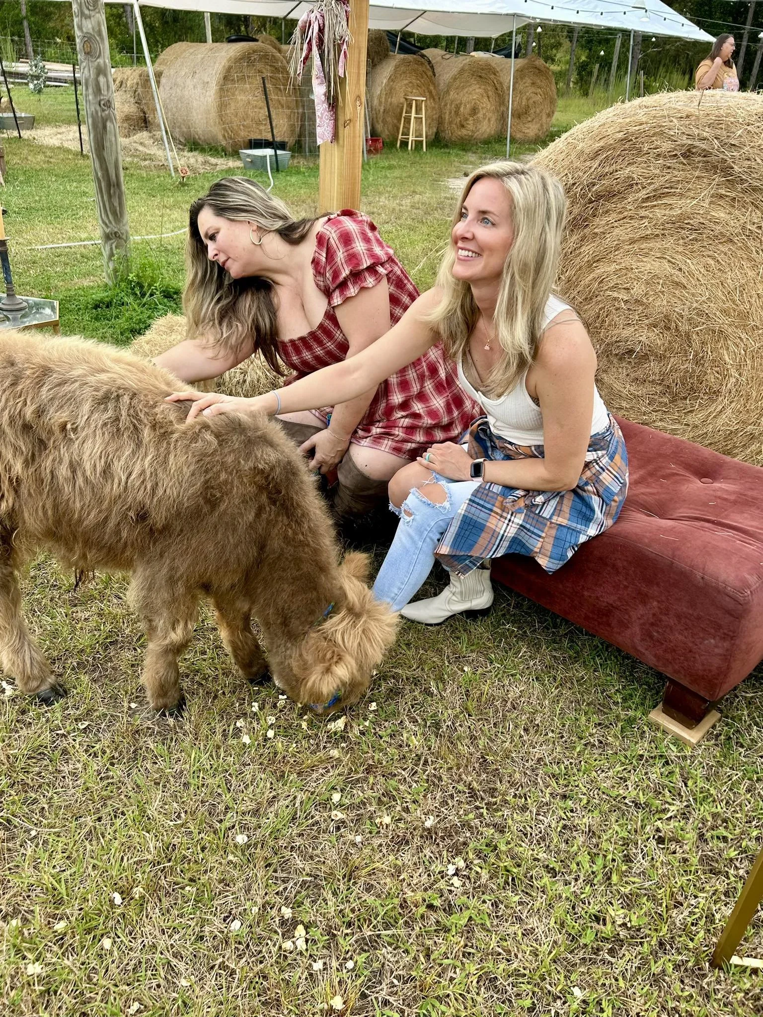 Visit the Ranch (for individuals and families)