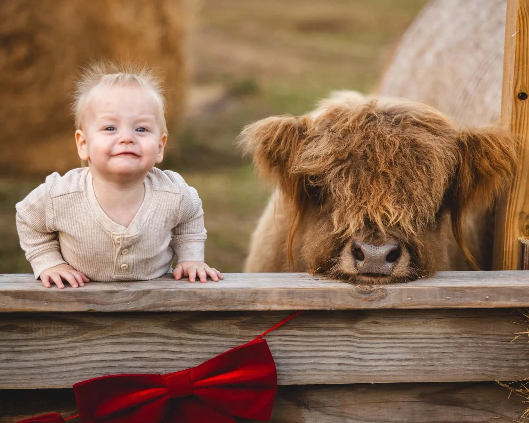 Ranch Photo Sessions