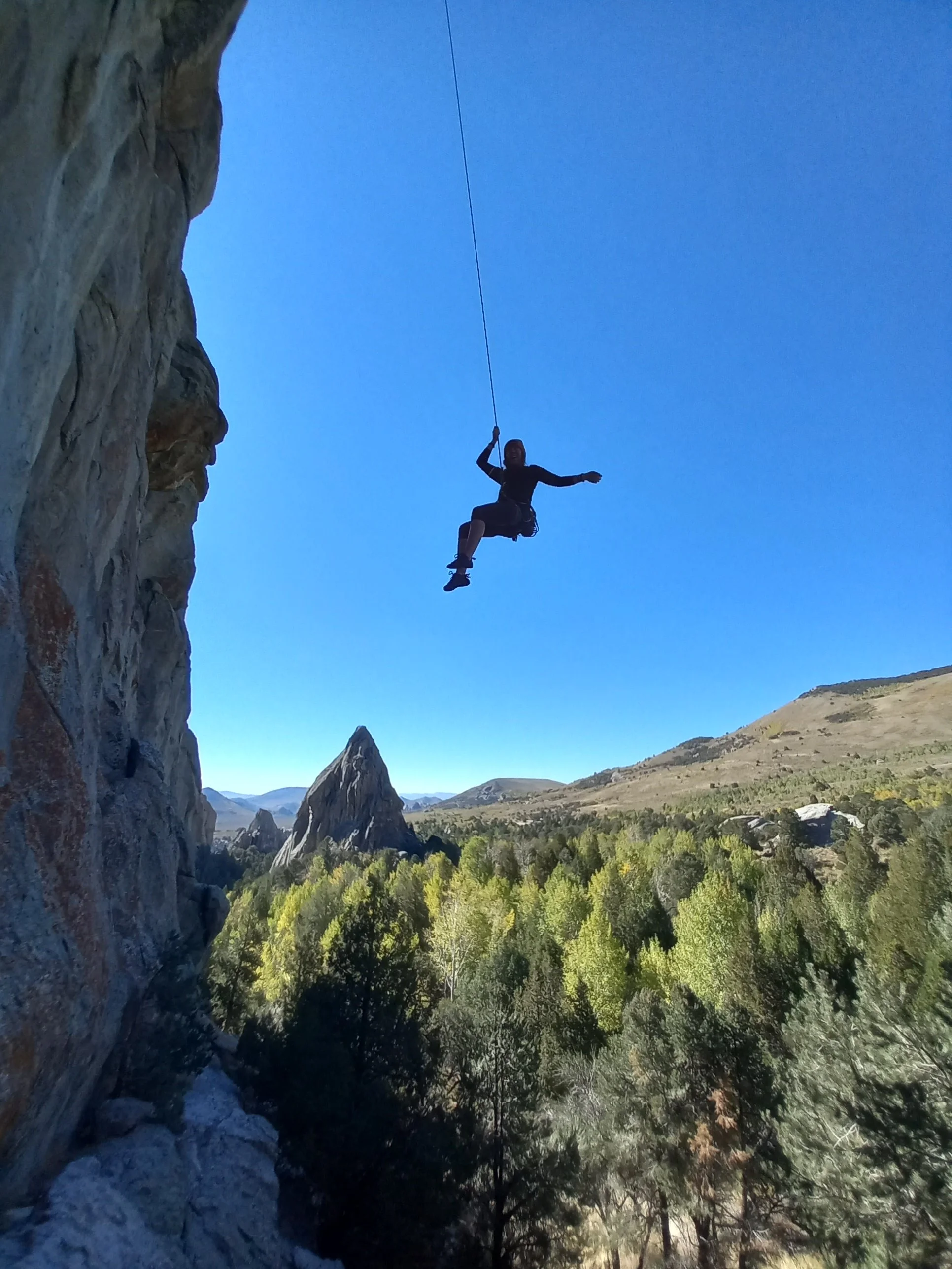 A person is swinging from a rope attached to a cliff, with a mountainous landscape and a forest beneath on a clear day.