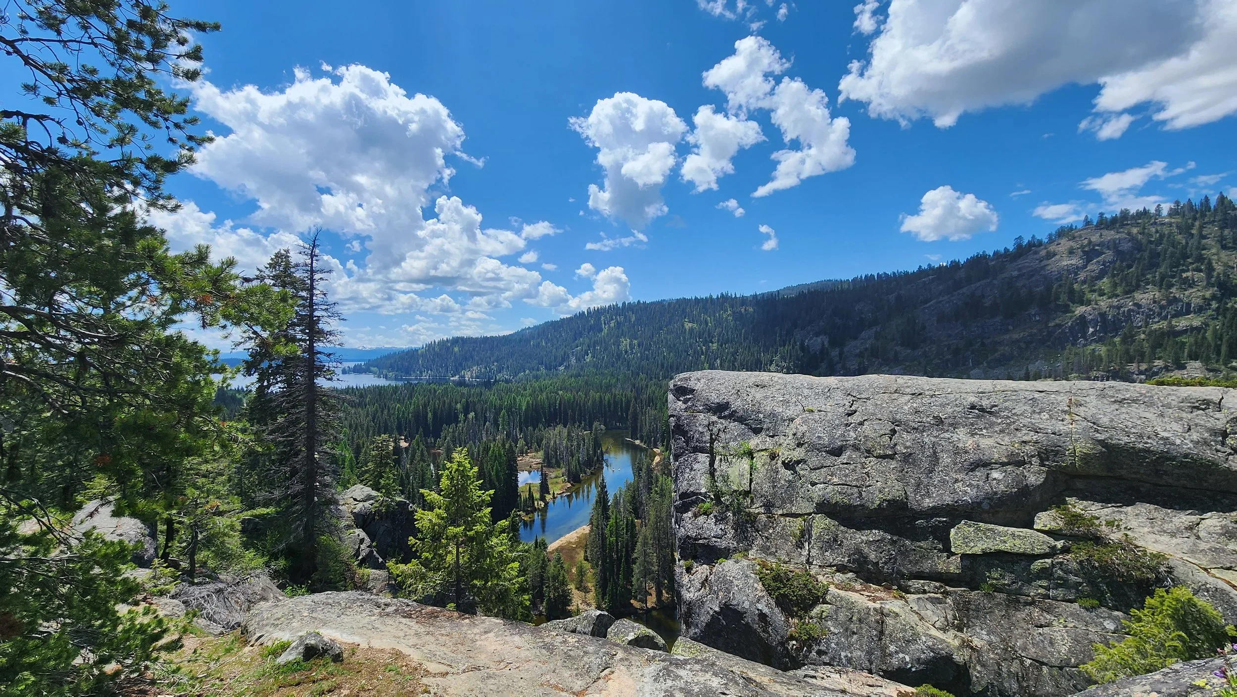 Scenic view of a forested valley with a winding river, large rocks in the foreground, and a hillside covered in trees under a partly cloudy blue sky.