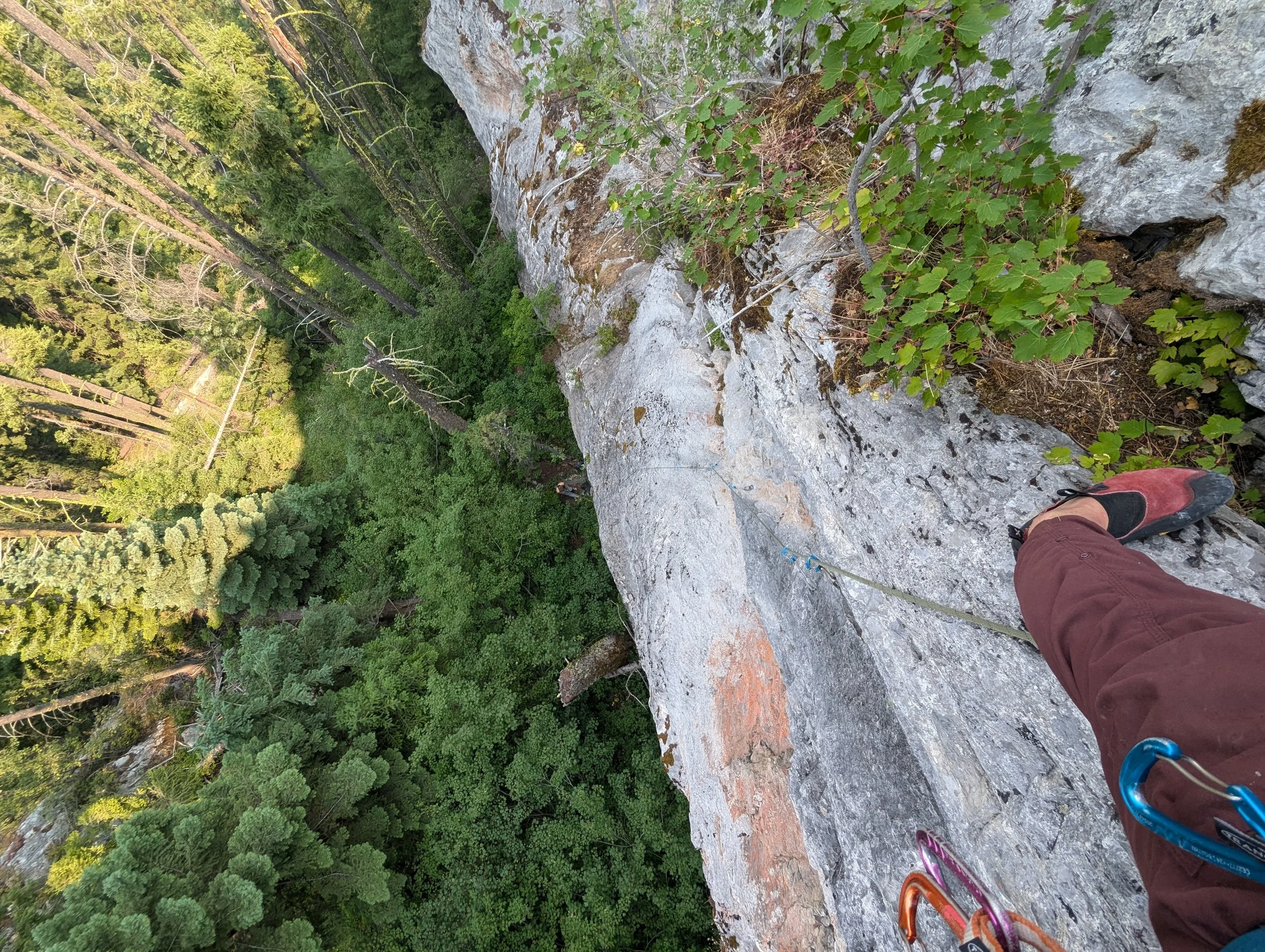 View from a climber standing on a granite rock face overlooking a green forested valley.