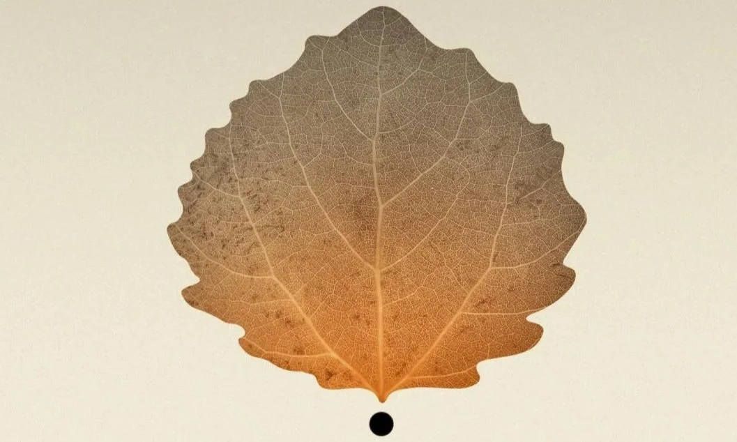 Open CREATIVE Residencies