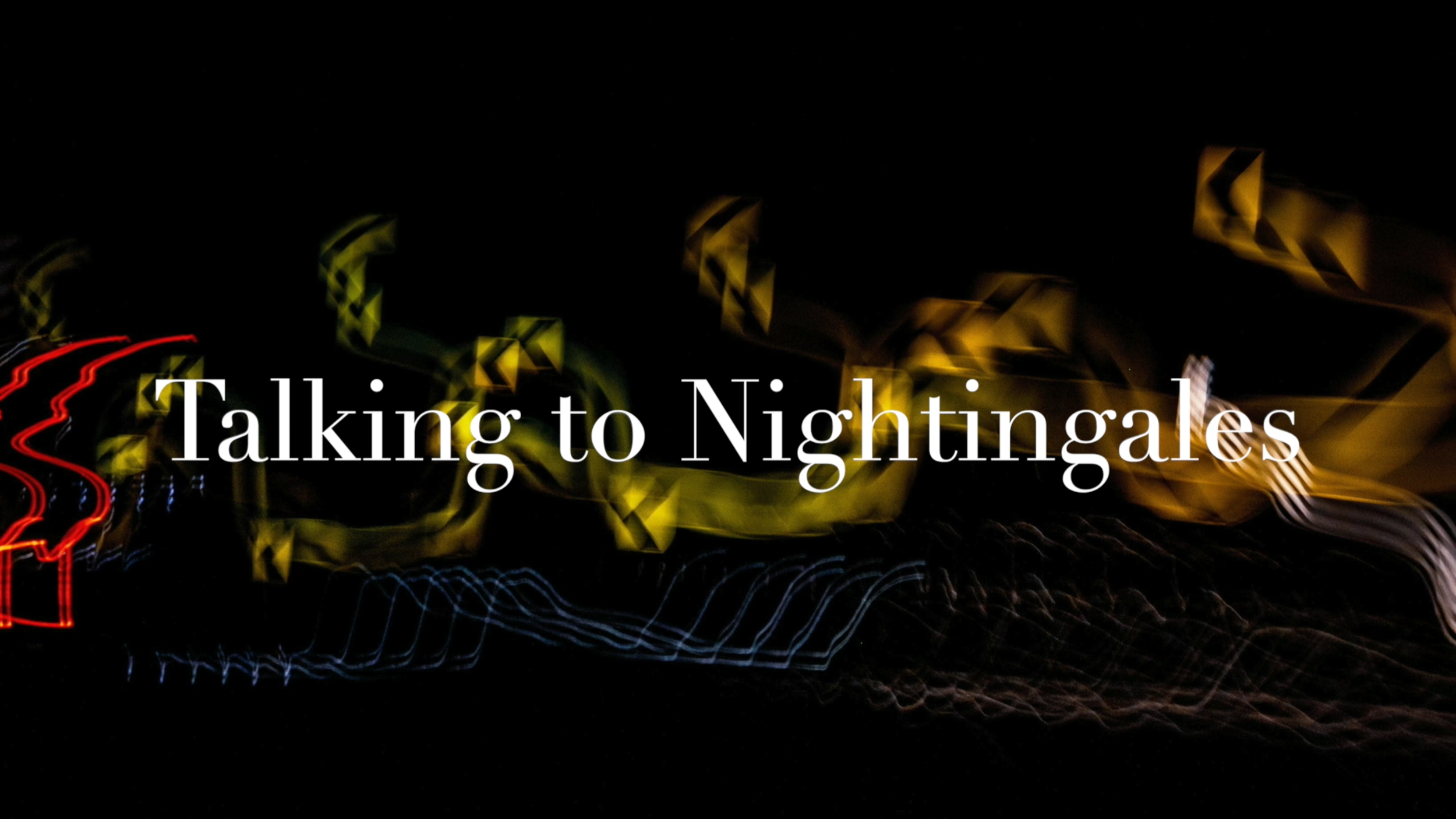 TALKING TO NIGHTINGALES
