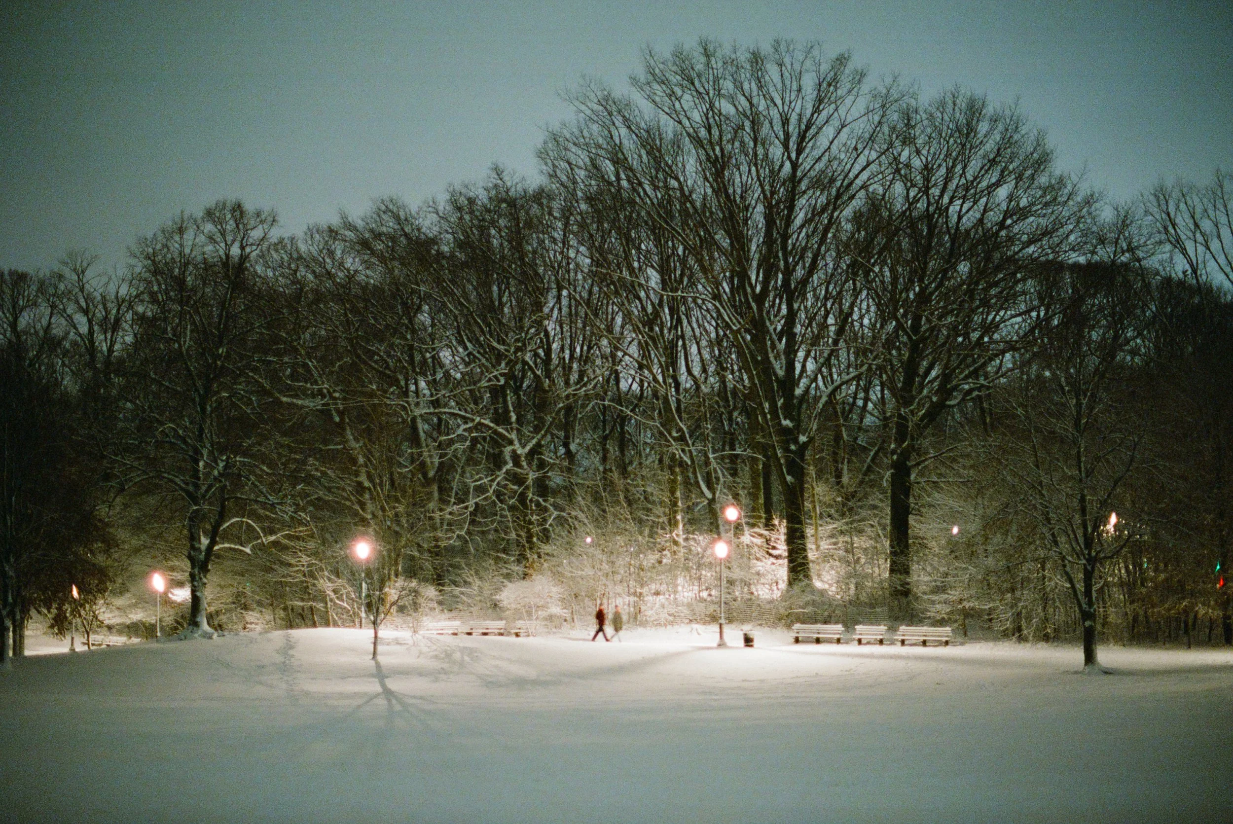 Prospect Park at midnight, Brooklyn, February 2025.jpg