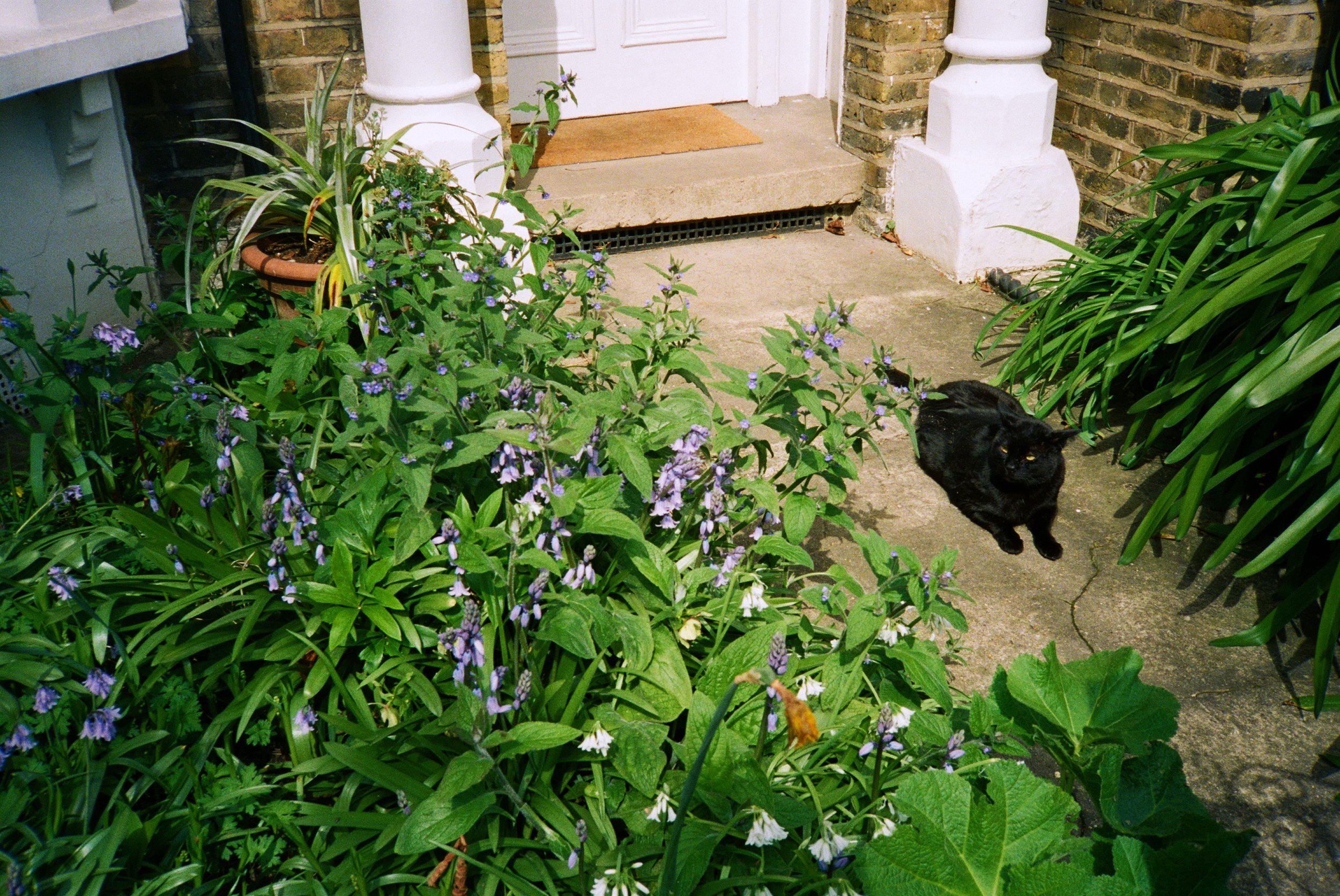 Brixton, London, April 2022 - COLOR CORRECTED.jpg