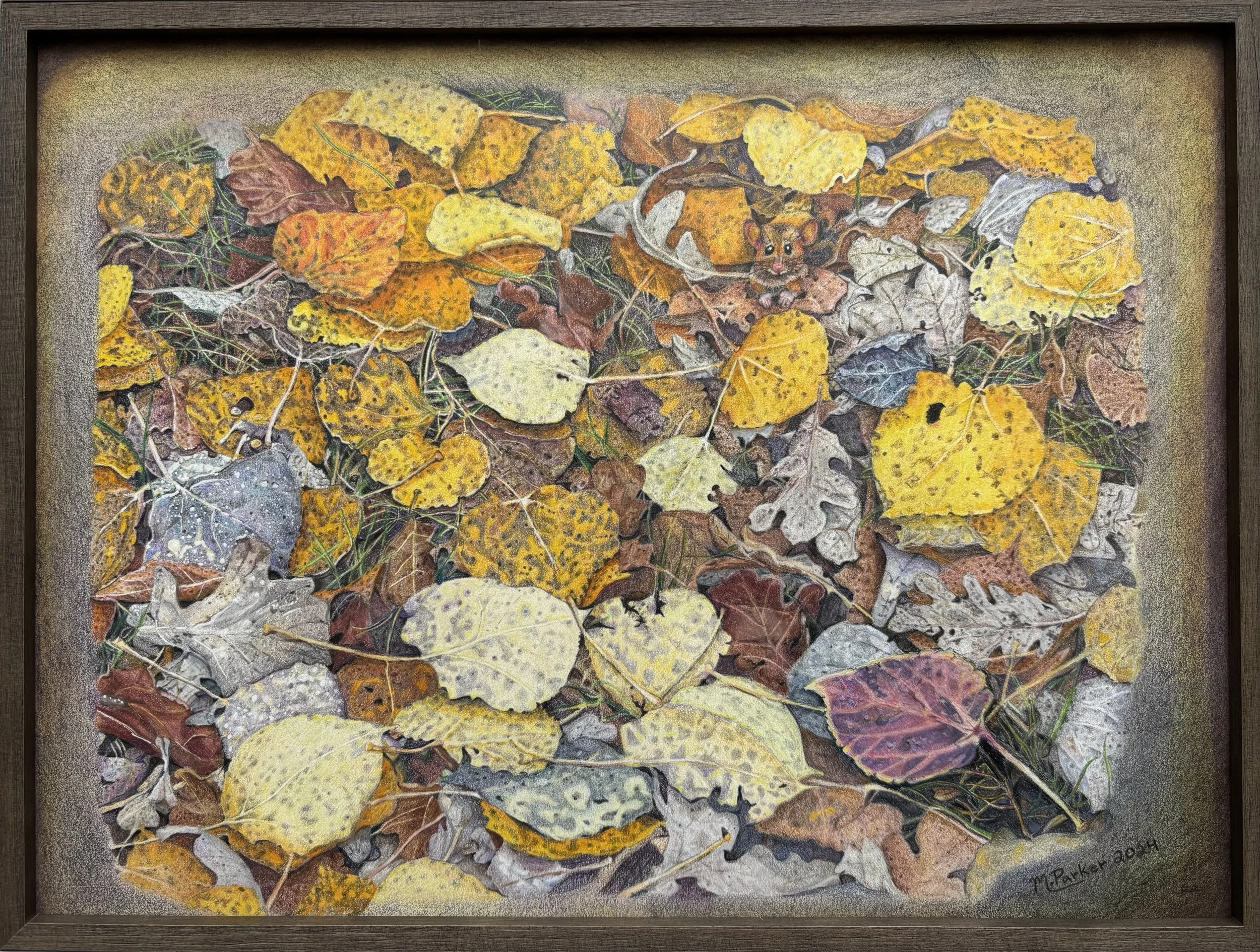 'Fallen Leaves', 2024, Coloured Pencil - 9" x 12".  Original Available.