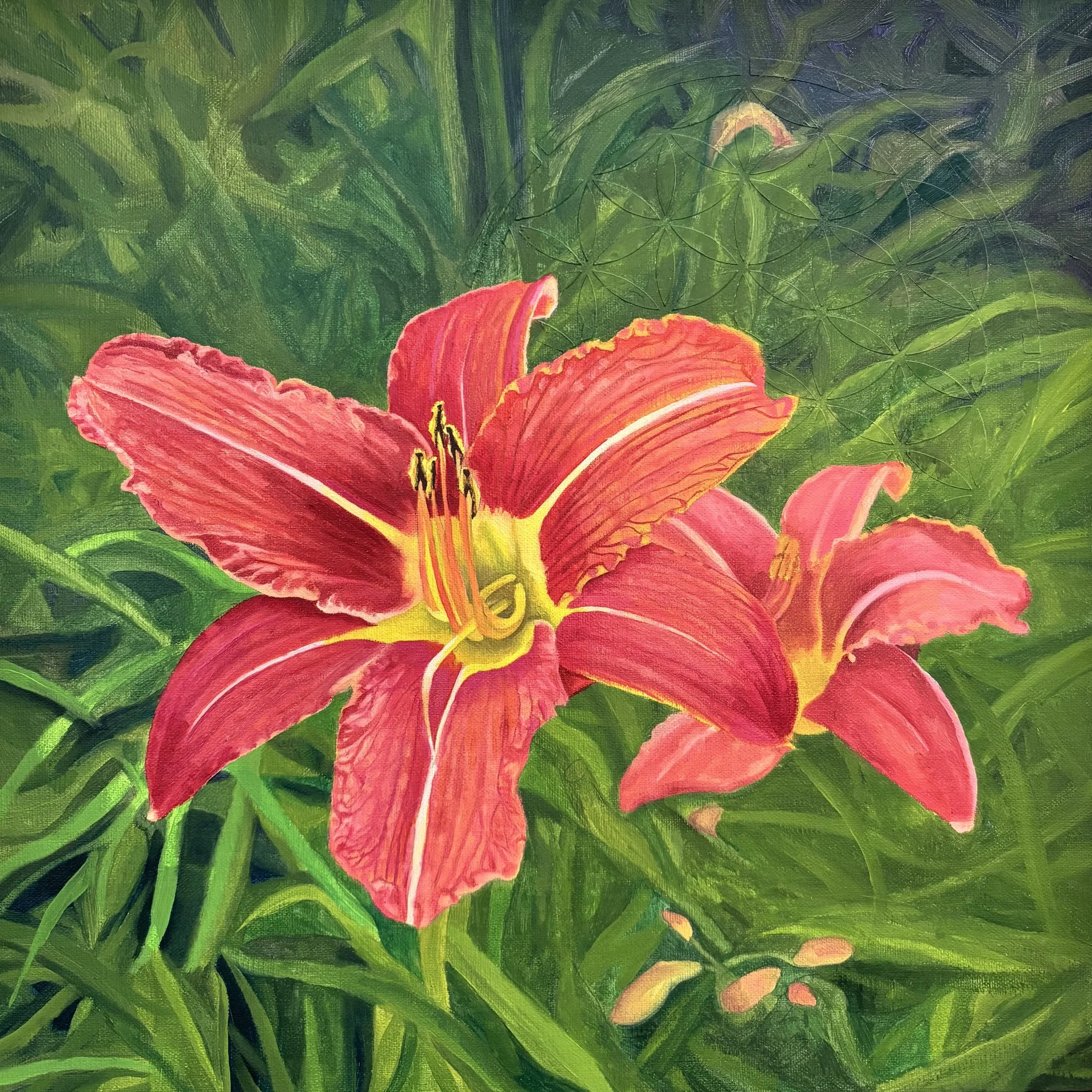 'Day lily', 2026, Oil on linen - "12 x 12".  Original Available