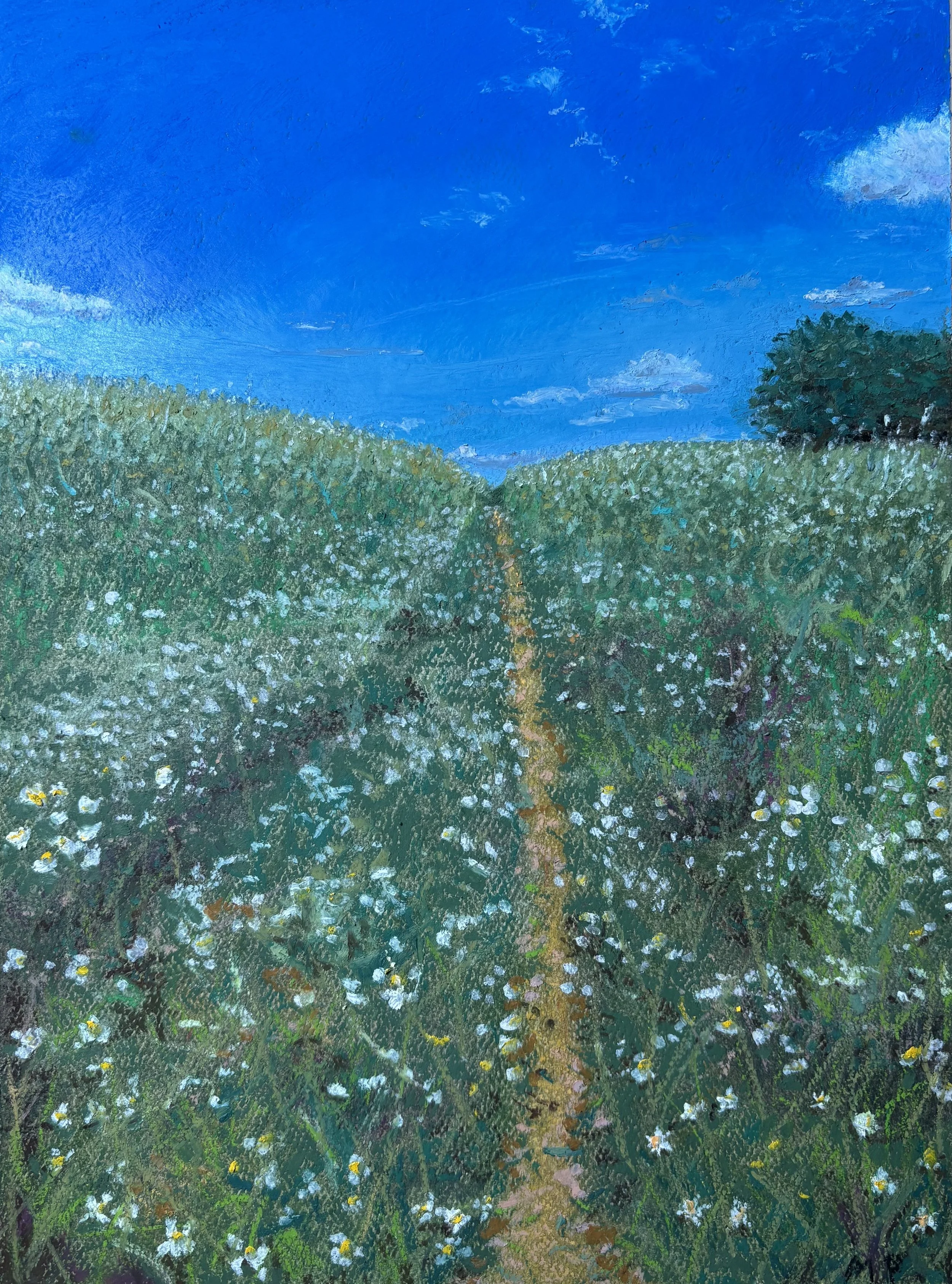 'Up the Hill', 2025, Oil Pastel - 9" x 12".  Original Available.