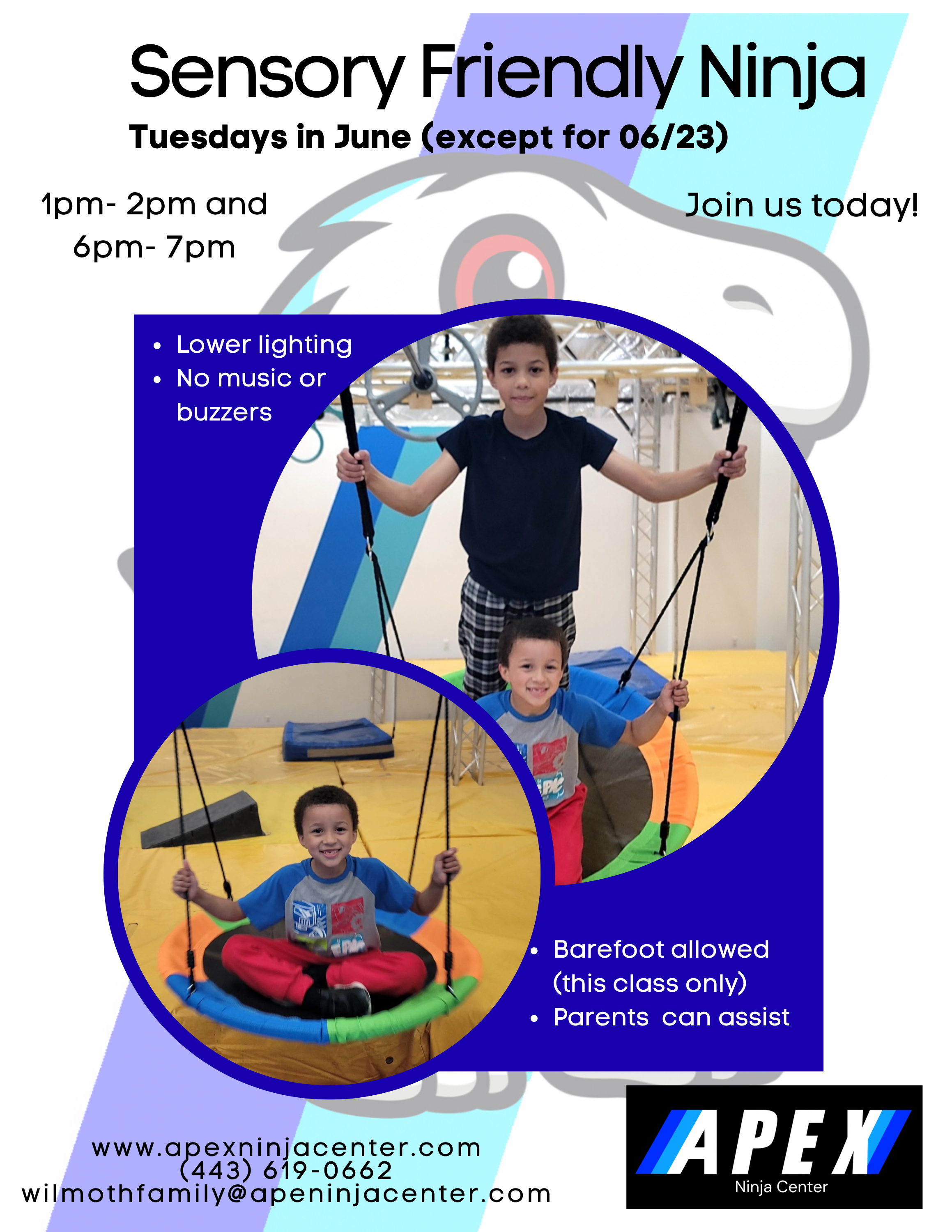 Sensory Friendly Ninja.png