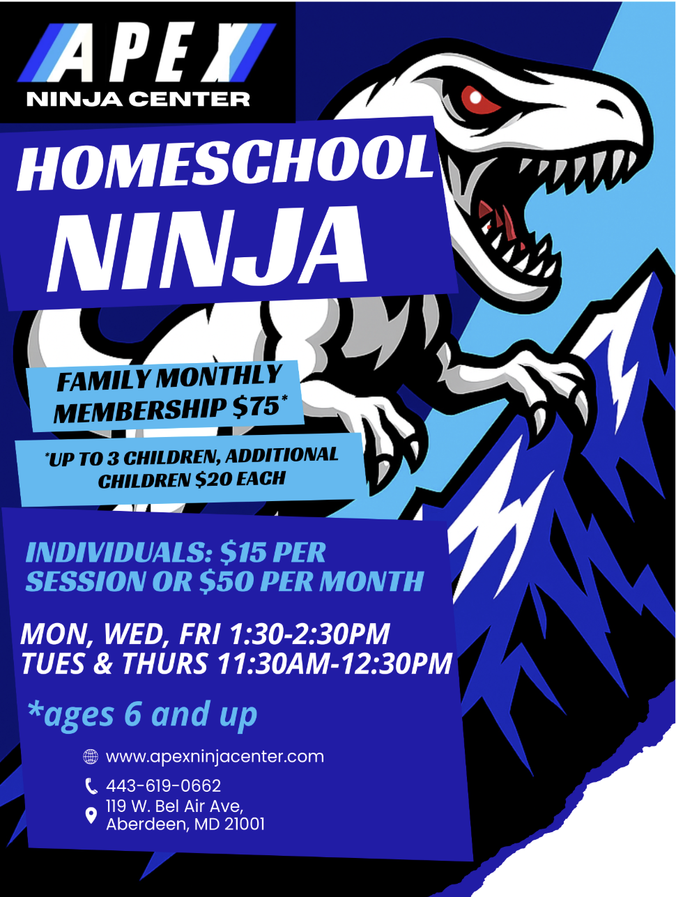 Homeschool Ninja Image.png