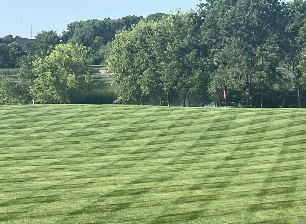 A well-maintained golf course with green grass, a flagstick at the hole, and trees in the background under a clear sky. Freshly mowed and managed by Ornell lawn services. 