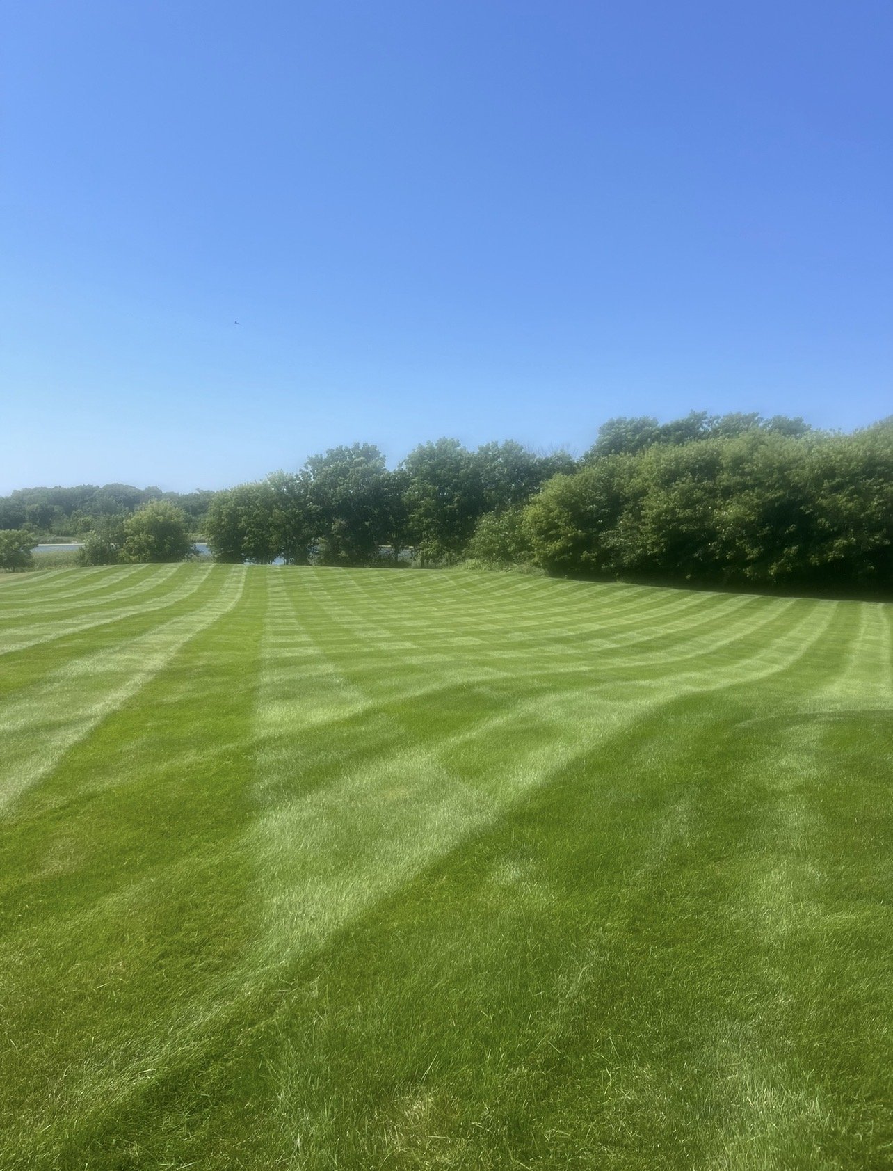 A large green grassy field with stripes, bordered by trees under a clear blue sky. Freshly mowed lawn managed by Ornell lawn services. 