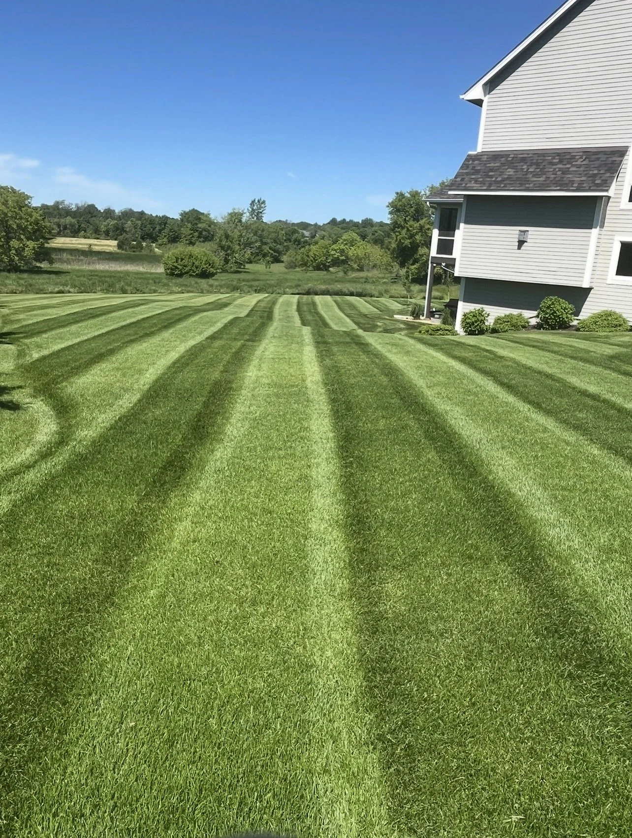 Freshly mowed green lawn managed by Ornell lawn services.  with striped grass pattern next to a gray house under a clear blue sky.