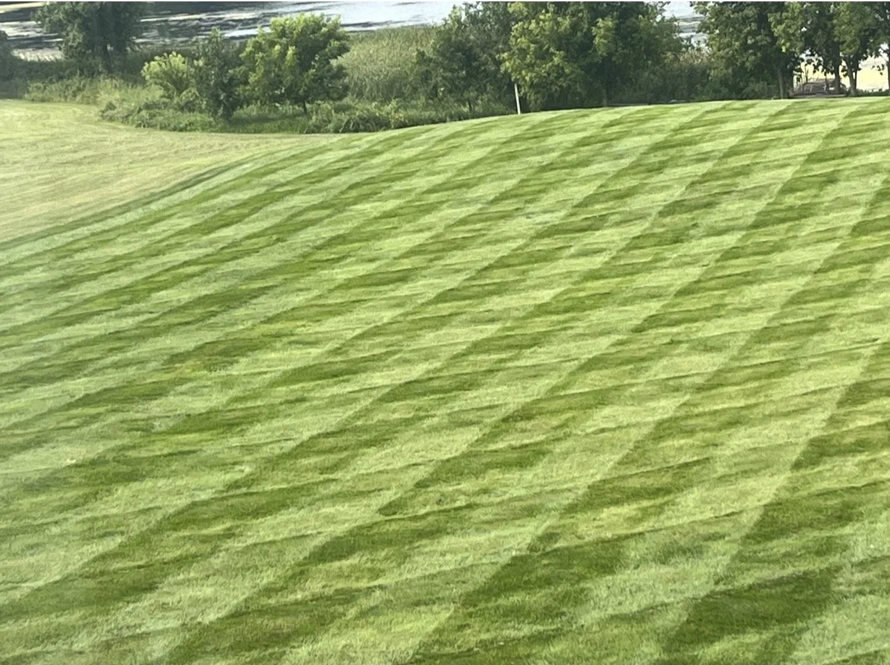 Freshly mowed lawn managed by Ornell lawn services, neatly mowed green grass and trees in the background, under a clear sky.