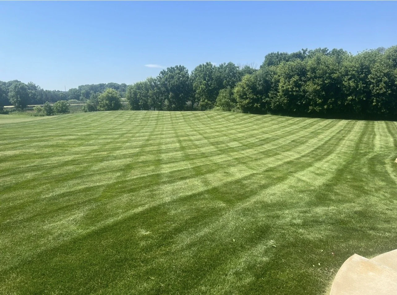 A large, well-maintained grassy field with diagonal mowing patterns under a clear blue sky, bordered by trees in the background. Freshly mowed lawn managed by Ornell lawn services. 