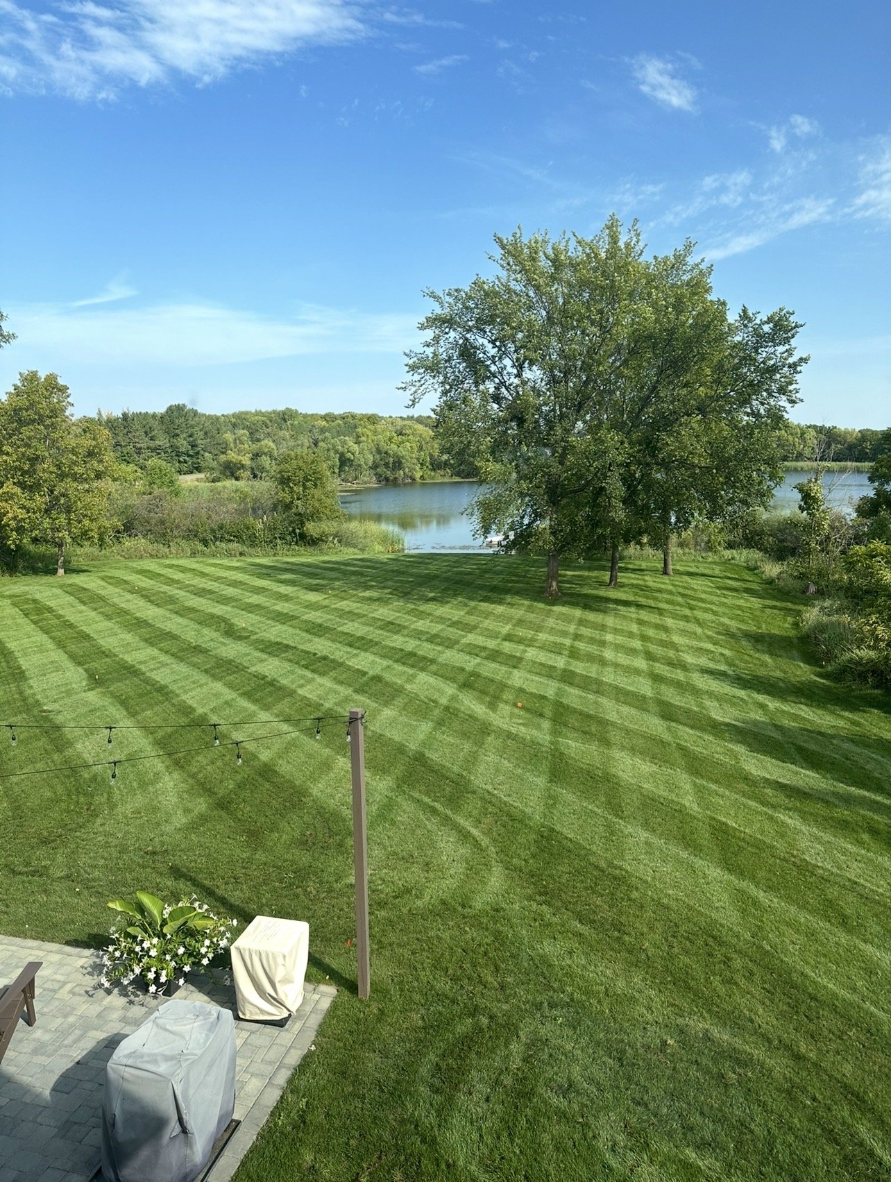 A well-maintained grassy backyard with striped lawn freshly mowed by Ornell lawn services, large trees, a lake in the background, and a patio with covered furniture and string lights.