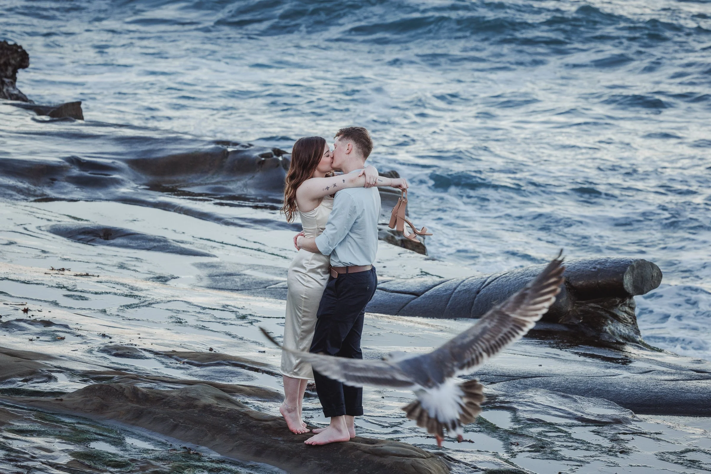 A couple kissing on a rocky shoreline with ocean waves in the background, while a seagull flies close in the foreground.