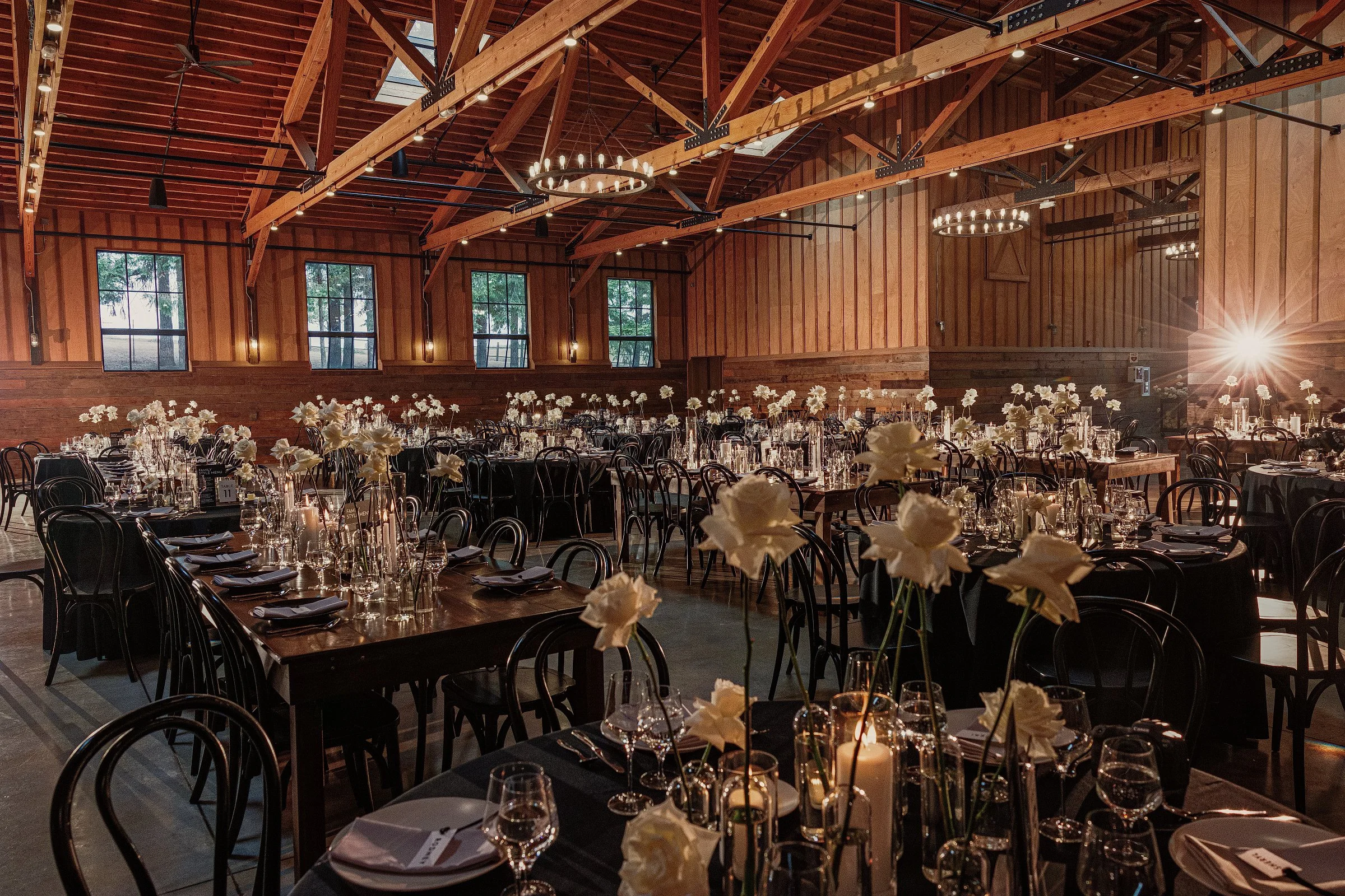 3Q5A0378-Edit-Edit 2.jpg