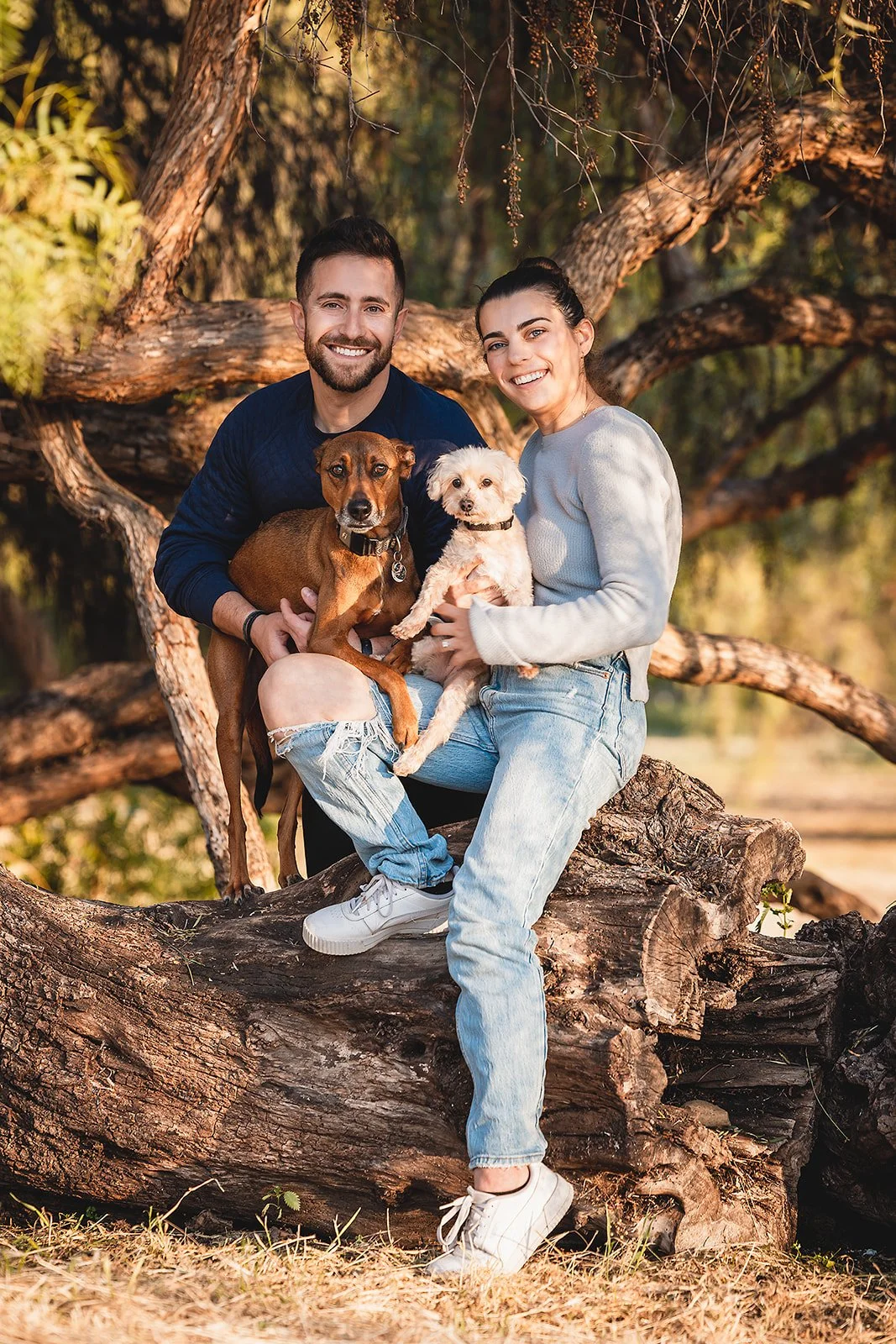 A smiling man and woman sitting on a large tree log outdoors, holding two dogs. The man is wearing a navy blue sweater, and the woman is wearing a light gray sweater and ripped jeans. The background features a large, sprawling tree with thick branche