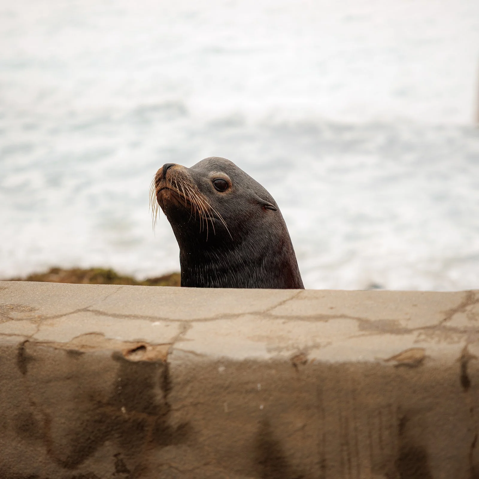 untitled (31 of 70)_websize.jpg