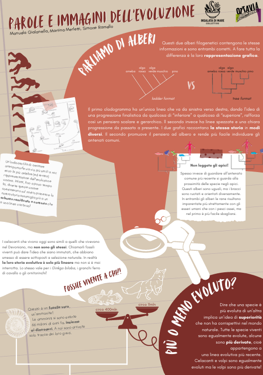 Download gratuito: un assaggio del nostro lavoro