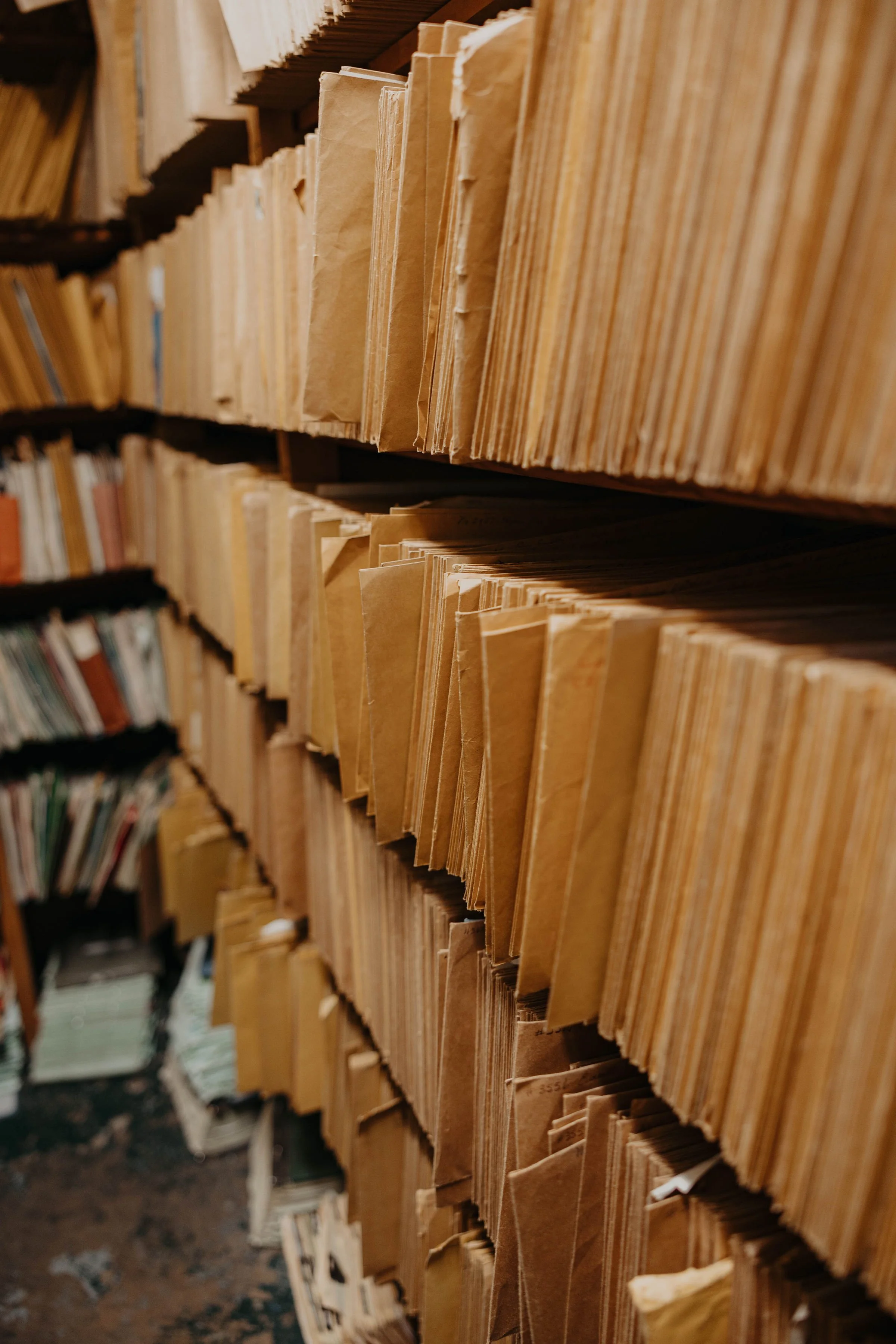 Shelf filled with manila folders in a library or archive setting.