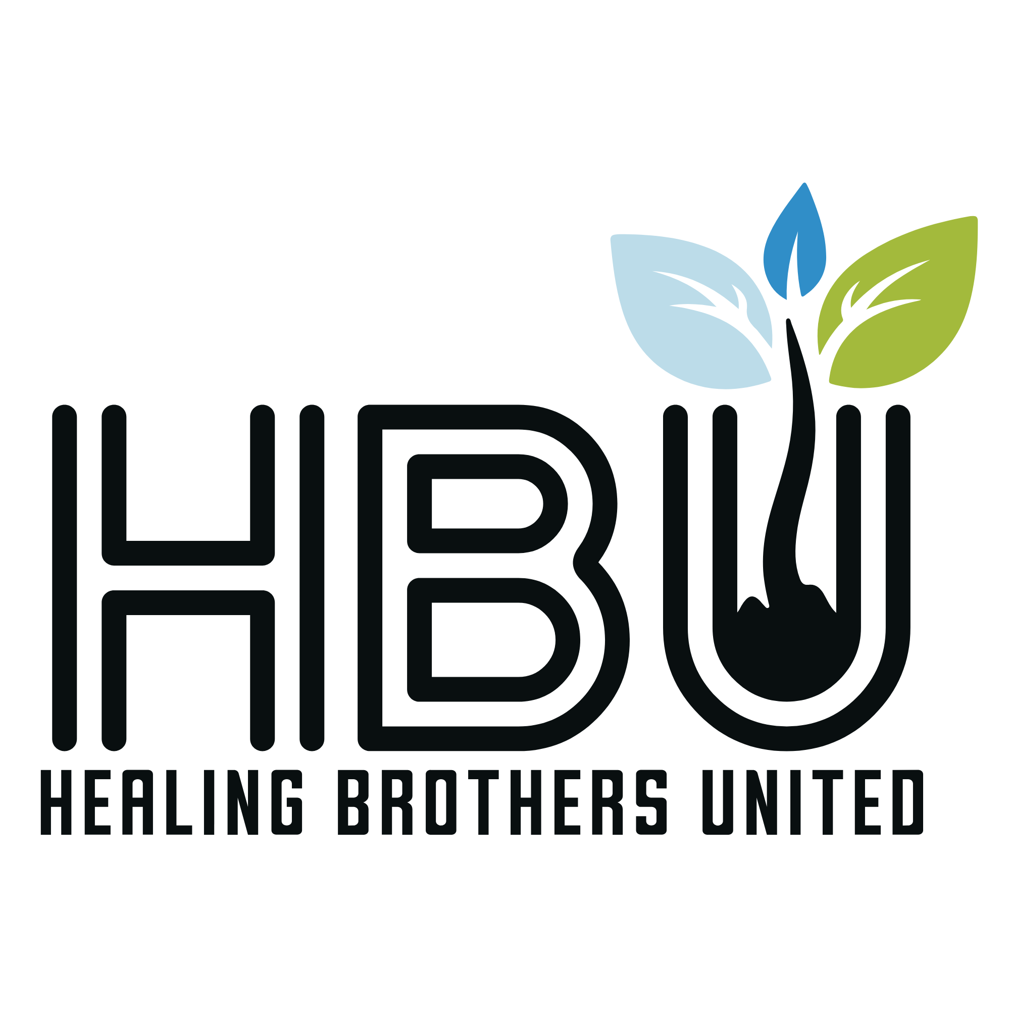 Logo of Healing Brothers United with stylized green and blue leaves and black text.